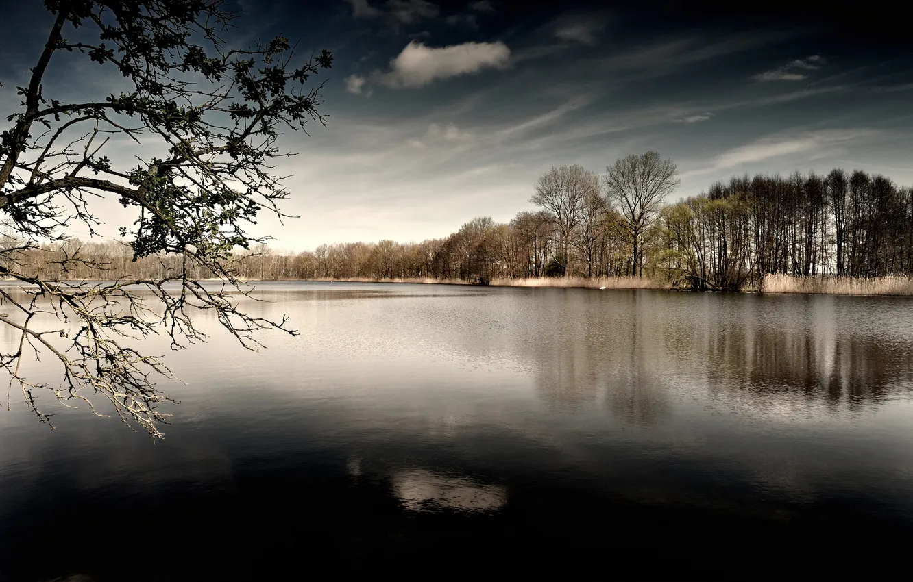 Photo wallpaper forest, lake, ruffle