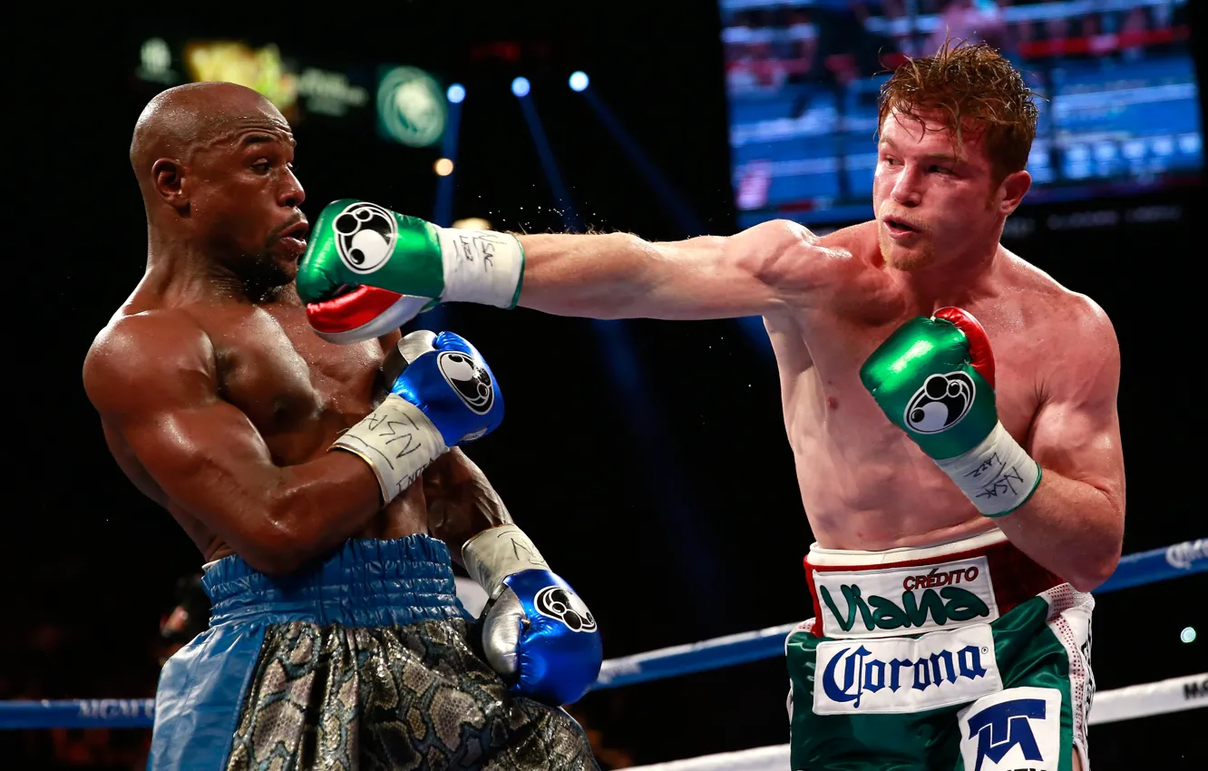 Photo wallpaper Boxing, floyd mayweather, Floyd Mayweather, Saul "Canelo" Alvarez, Canelo Alvarez