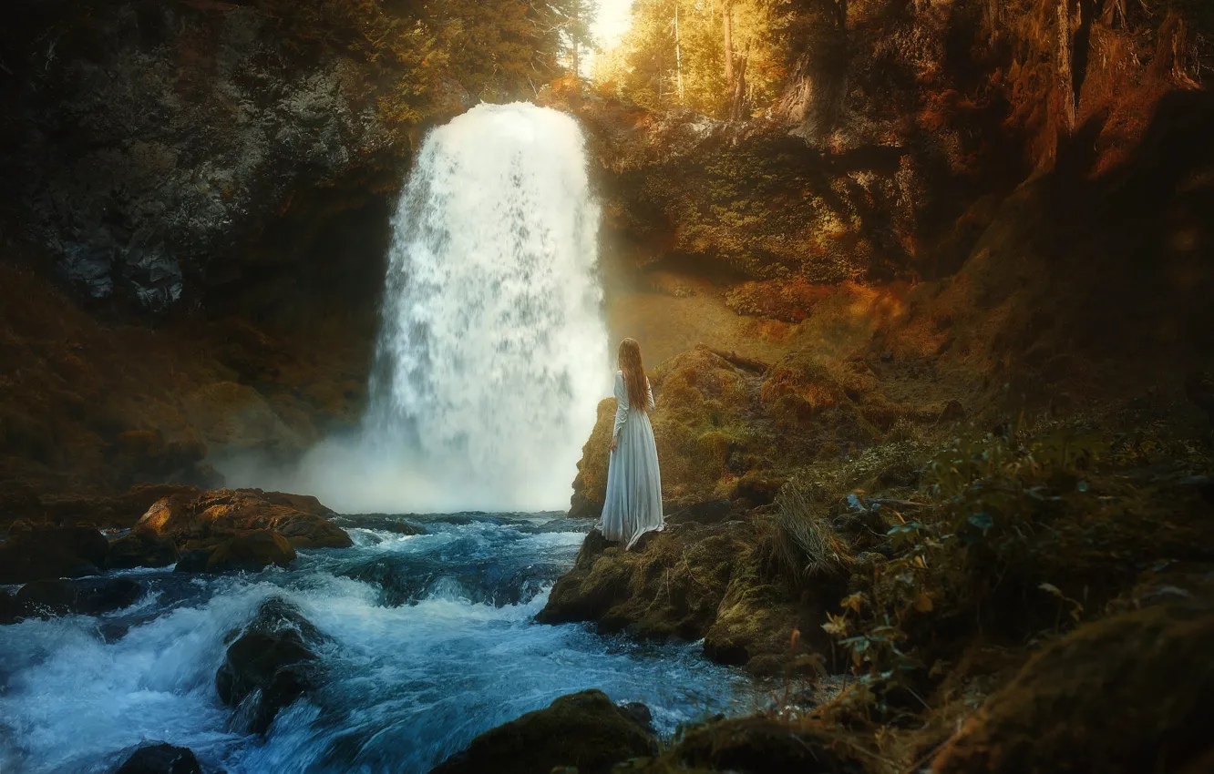 Photo wallpaper morning, back, long-haired, stream, rocks, river, dress, forest