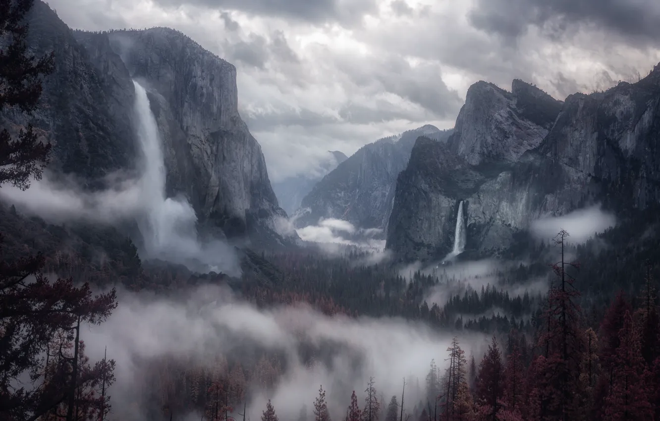 Photo wallpaper the sky, clouds, trees, mountains, clouds, nature, fog, rocks