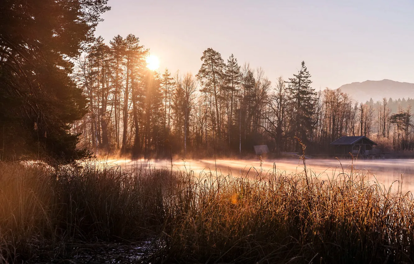 Photo wallpaper fog, lake, morning