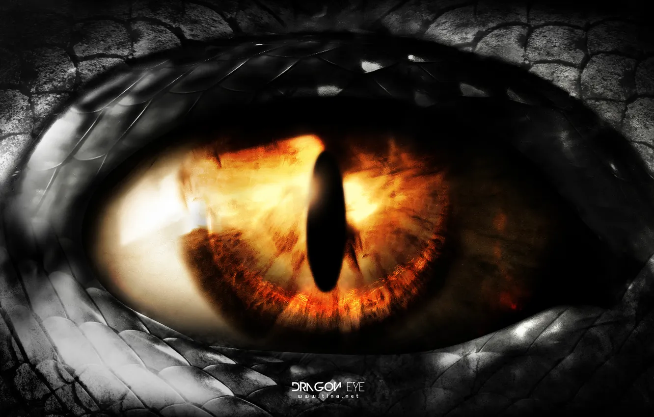 Photo wallpaper eyes, dragon, art, t1na