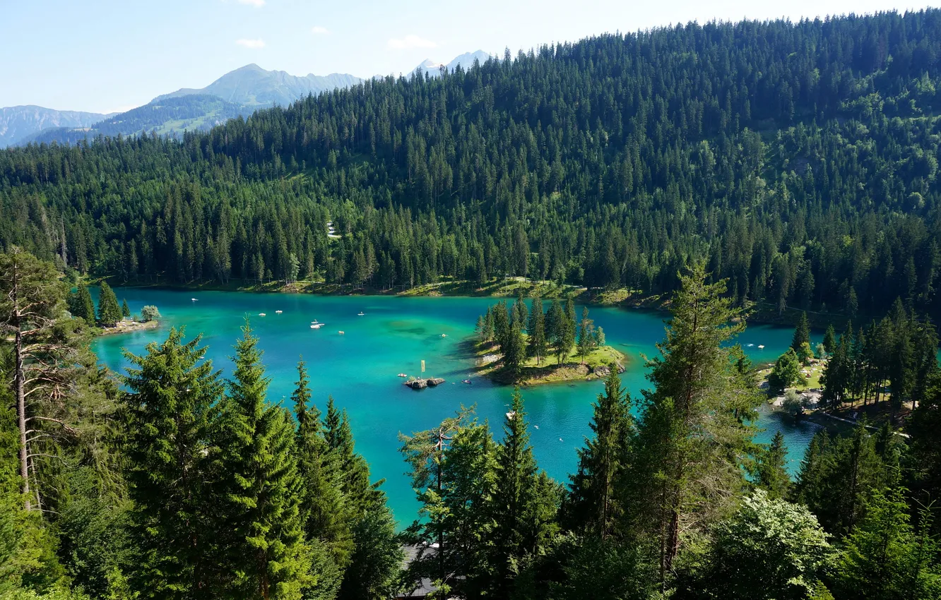 Photo wallpaper forest, trees, mountains, lake, Switzerland, Lake Maggiore, Ticino