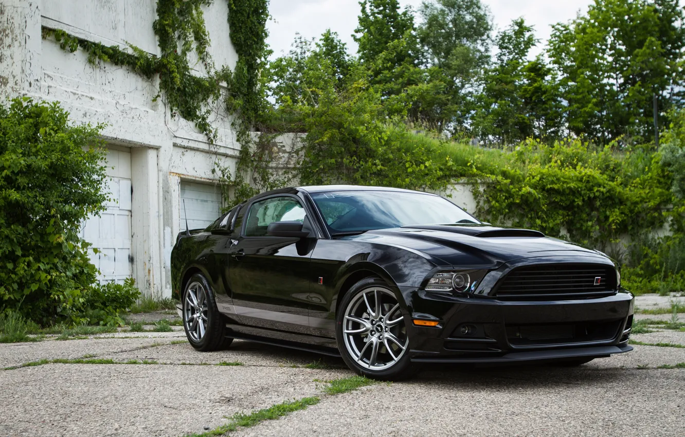 Photo wallpaper Muscle, Ford Mustang, Tuning, Roush