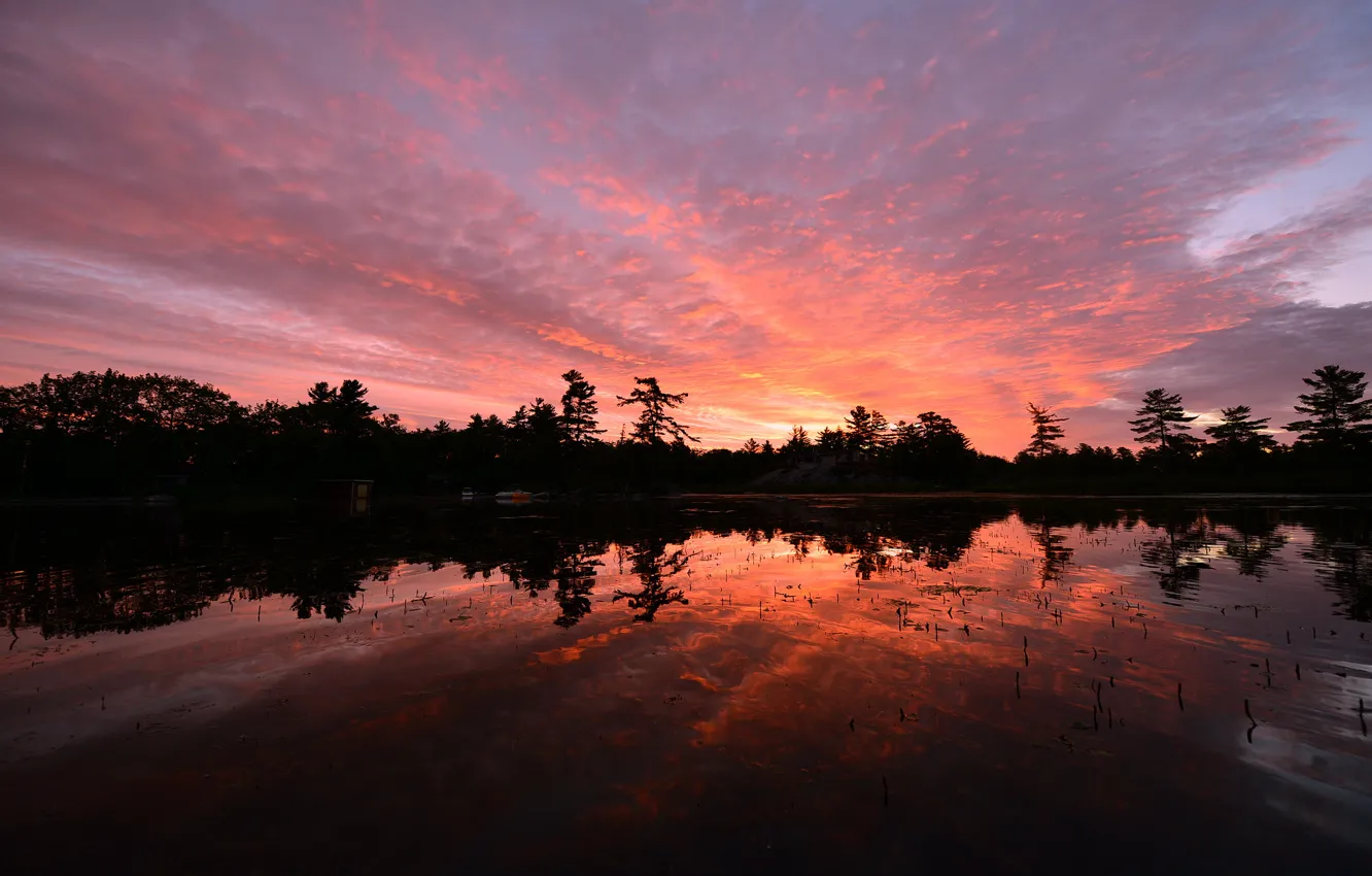 Photo wallpaper the sky, clouds, trees, sunset, orange, lake, reflection, the evening