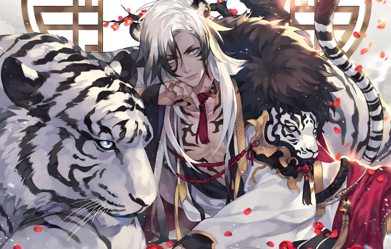 Photo wallpaper tiger, guy, white tiger