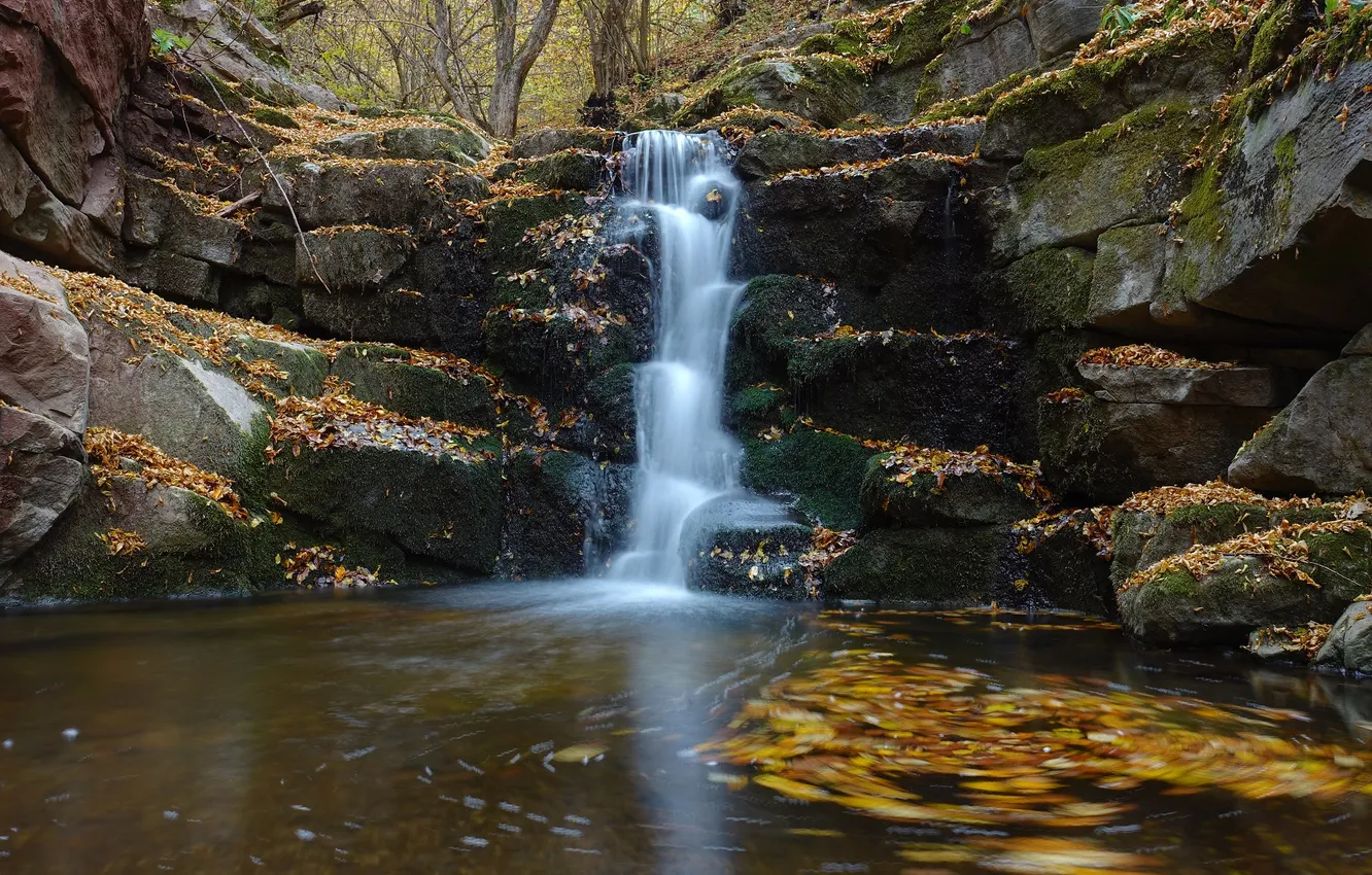 Photo wallpaper autumn, forest, nature, river, waterfall