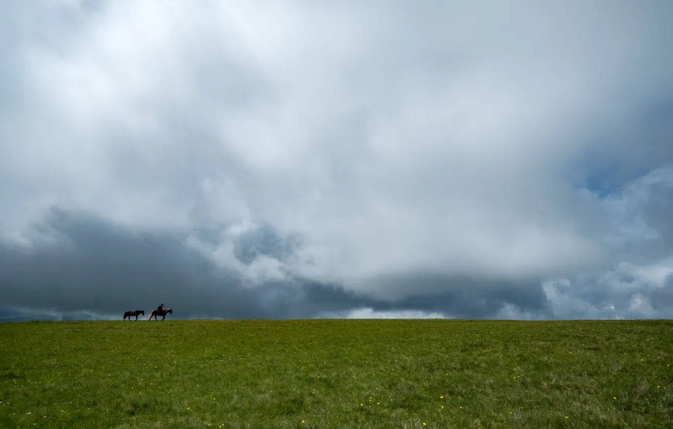 Photo wallpaper field, the sky, clouds, landscape, nature, fog, plain, horse