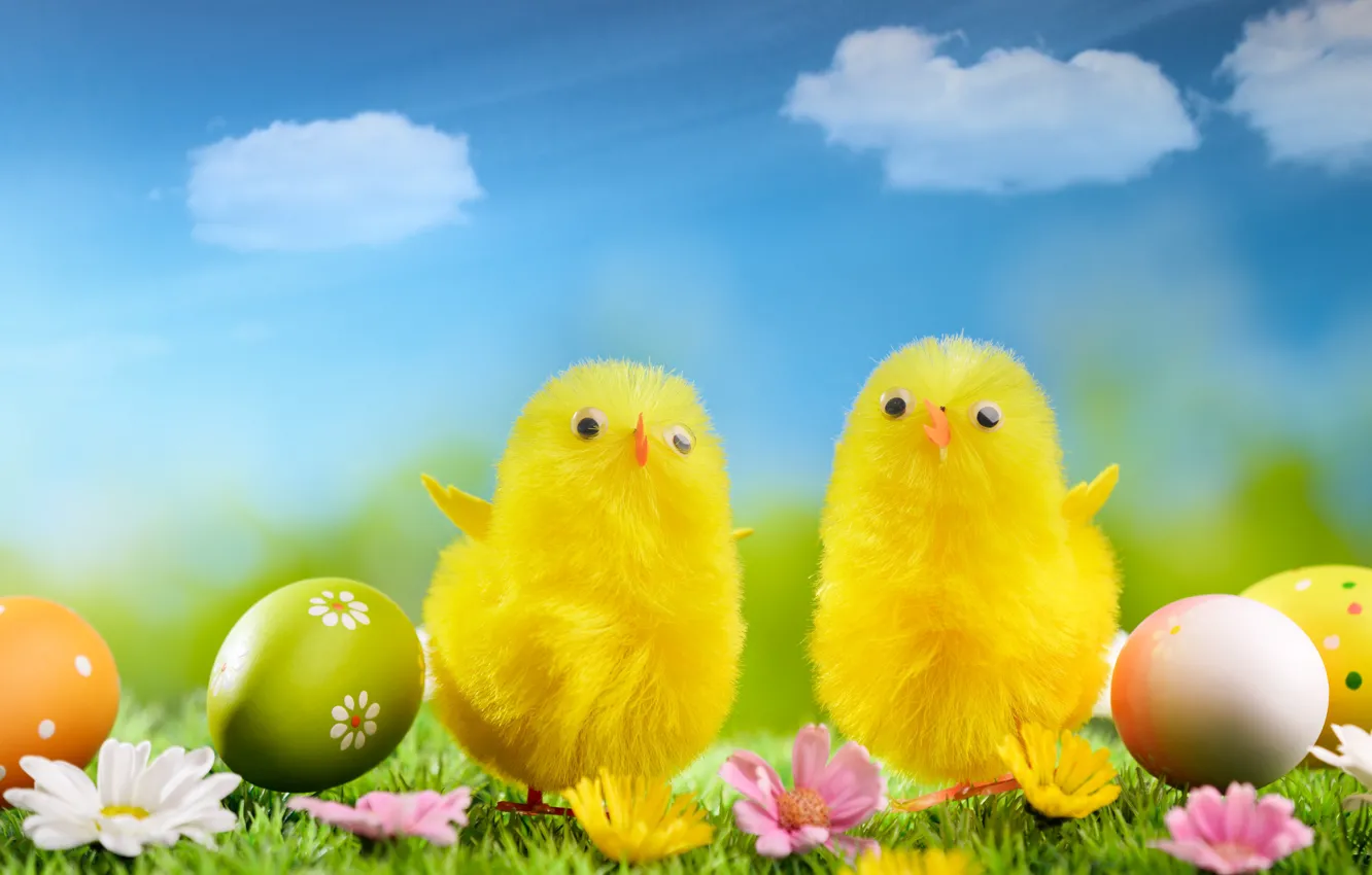 Photo wallpaper flowers, holiday, chickens, eggs, Easter, weed