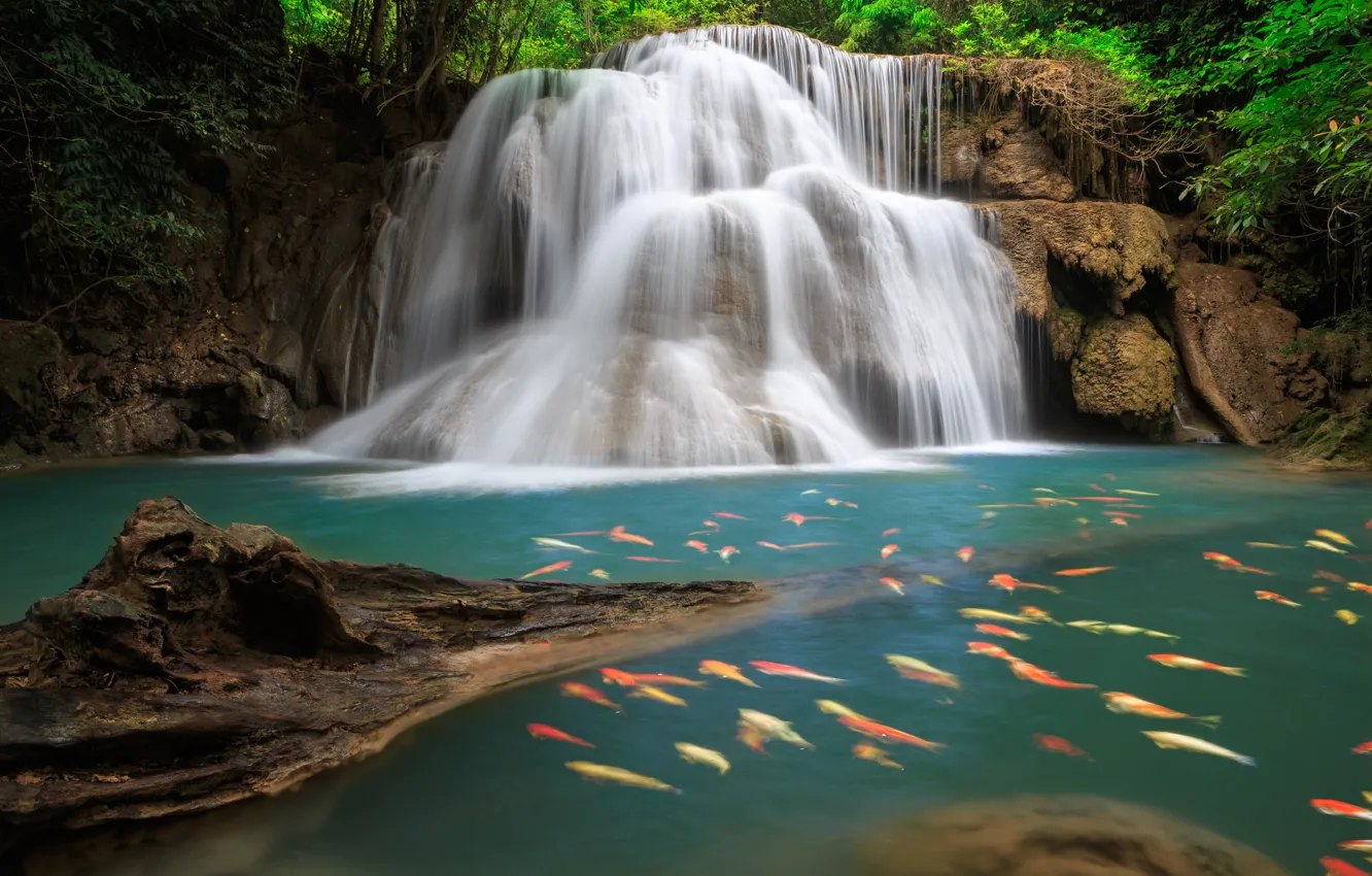 Photo wallpaper sea, the sky, leaves, clouds, trees, landscape, nature, lake