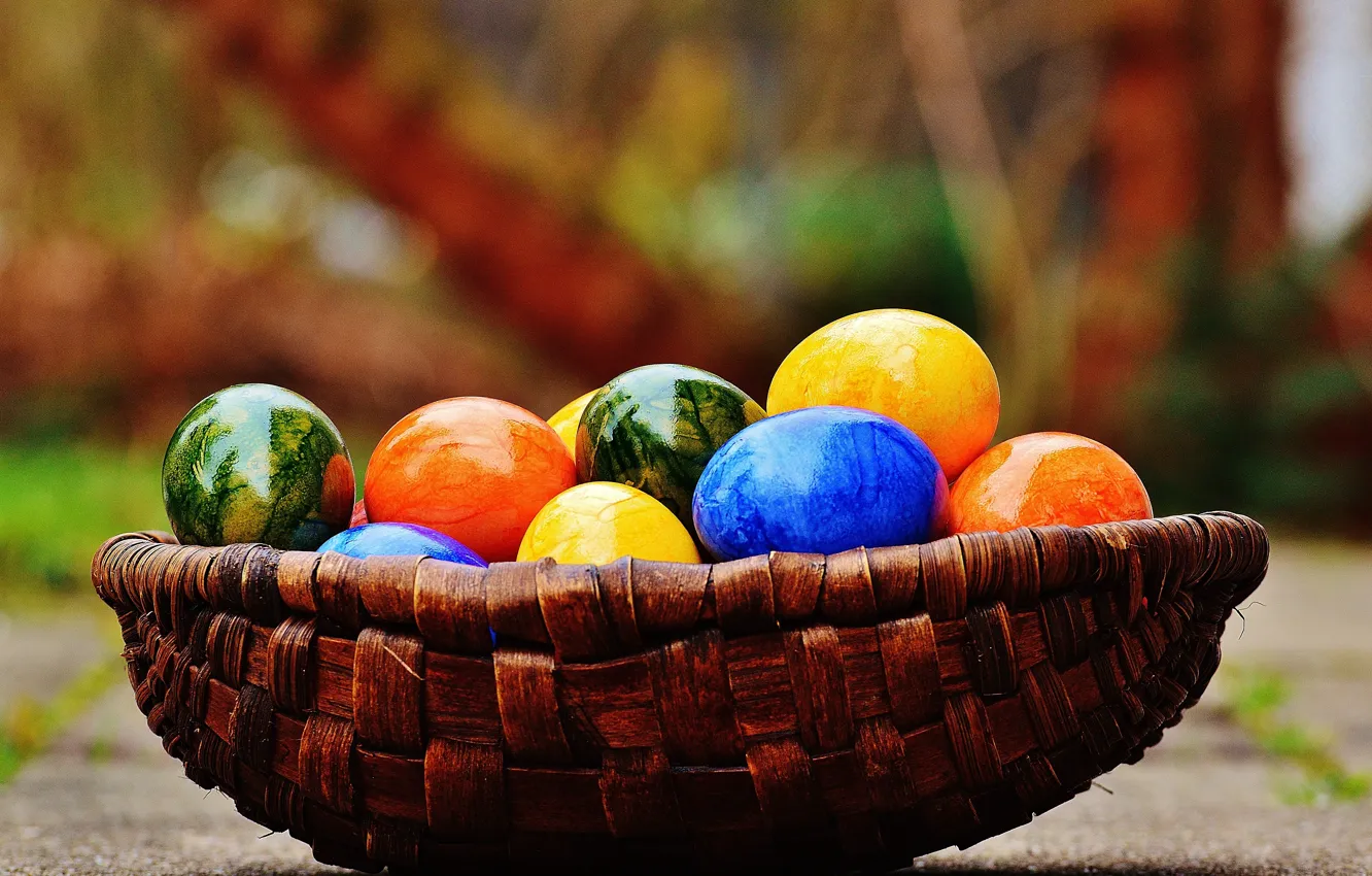 Photo wallpaper basket, colorful, Easter, rainbow, Easter, eggs, decoration, Happy