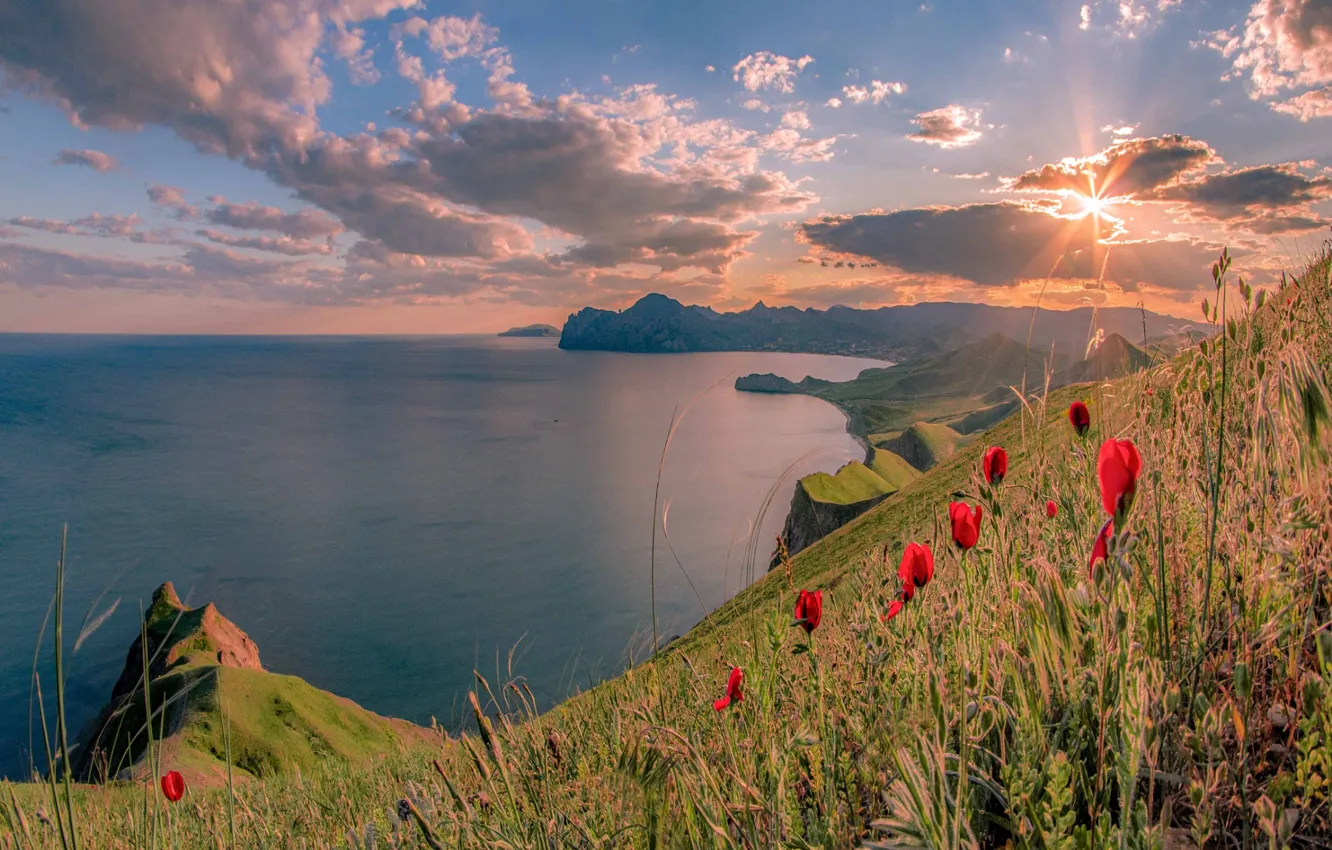 Photo wallpaper sea, the sun, rays, landscape, nature, coast, Maki, Crimea