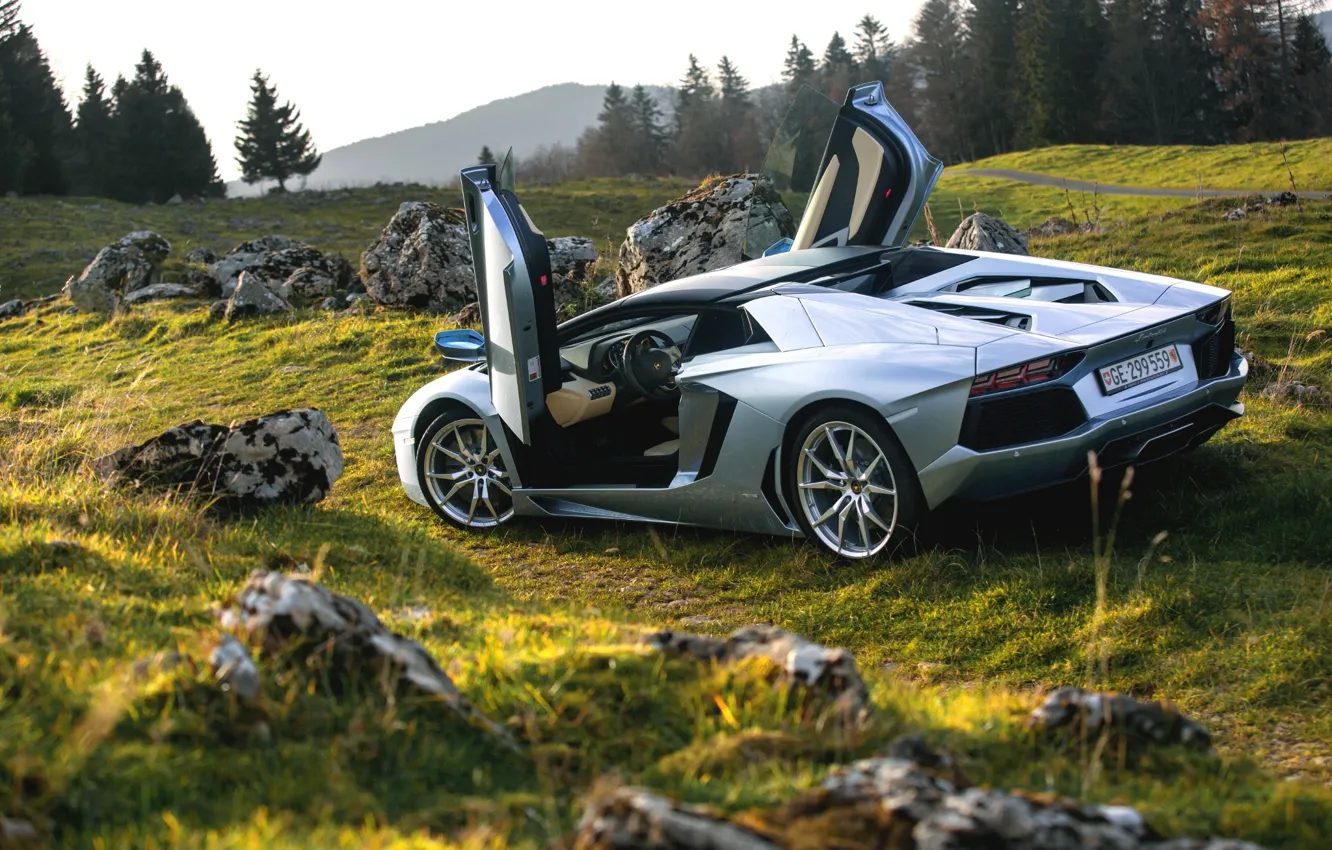 Photo wallpaper Roadster, Lamborghini, Nature, LP700-4, Aventador, Supercars, Silver, Rear