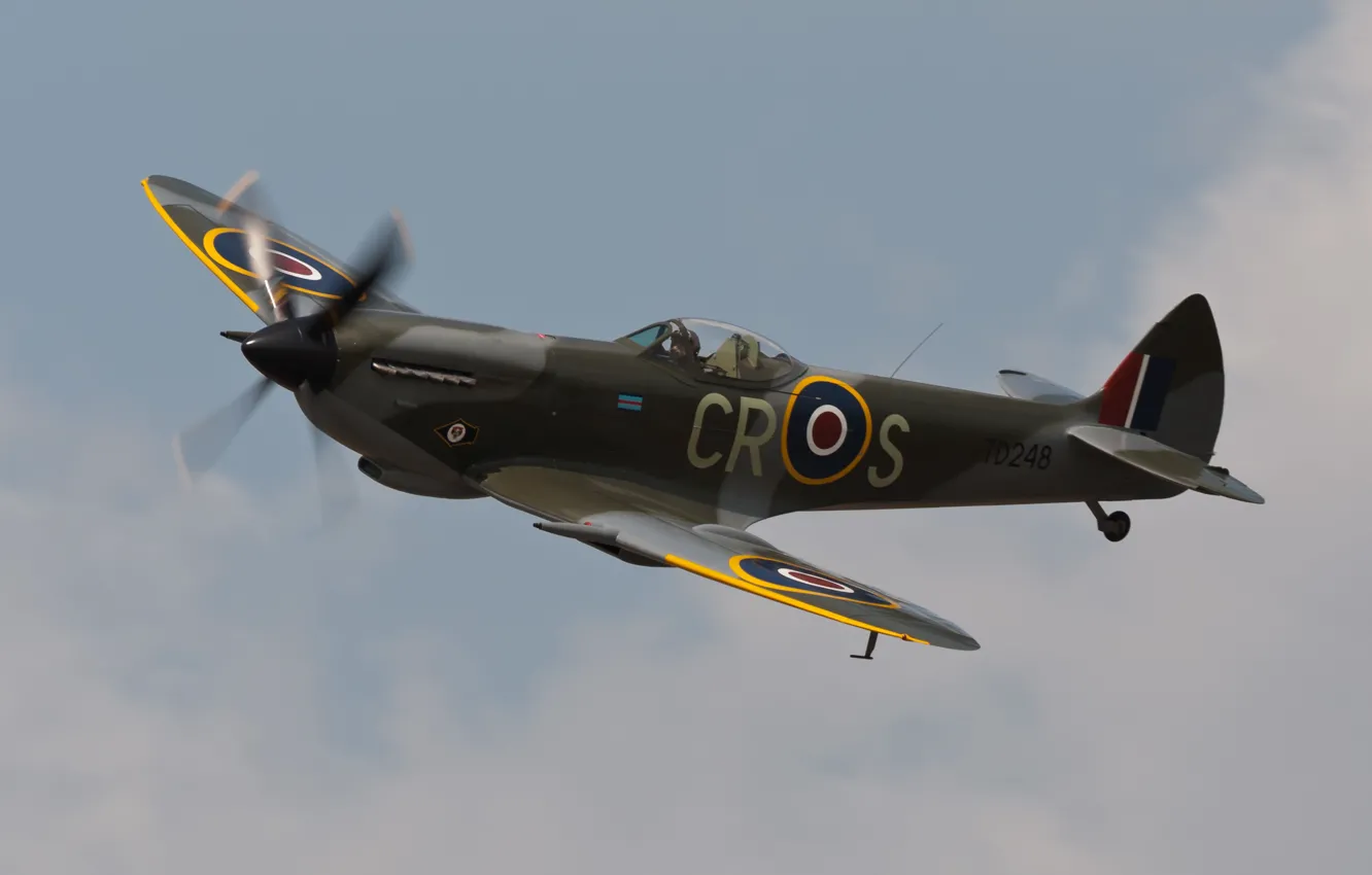 Photo wallpaper the sky, fighter, the plane, English, WW2, Supermarine Spitfire Mk. XVIe