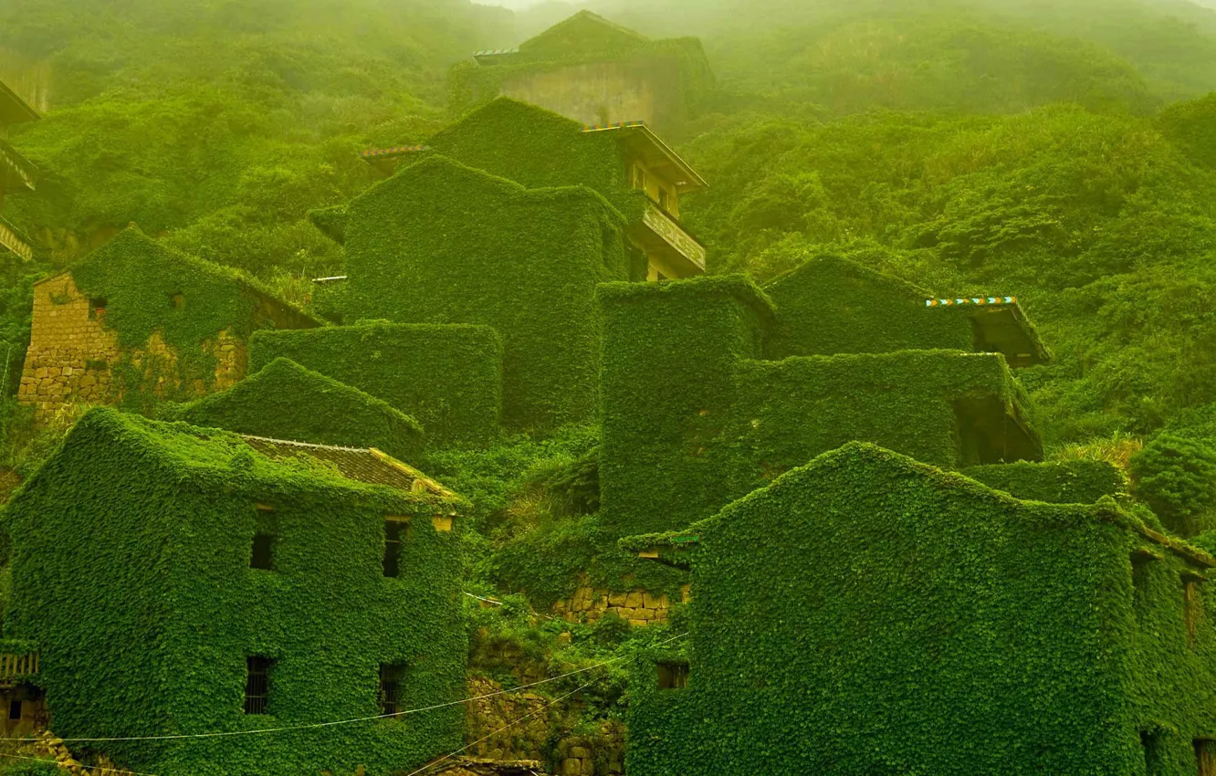 Photo wallpaper home, slope, China, island Shengshan, abandoned village