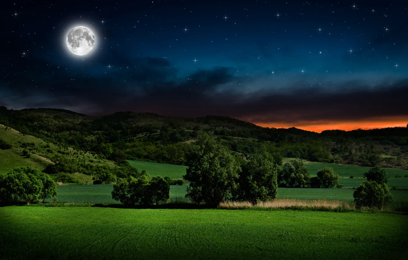 Photo wallpaper stars, trees, landscape, night, hills, serenity, the moon, glow
