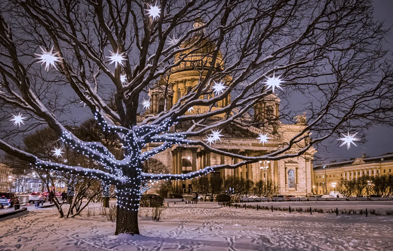 Photo wallpaper winter, snow, trees, the city, the evening, Peter, area, Saint Petersburg