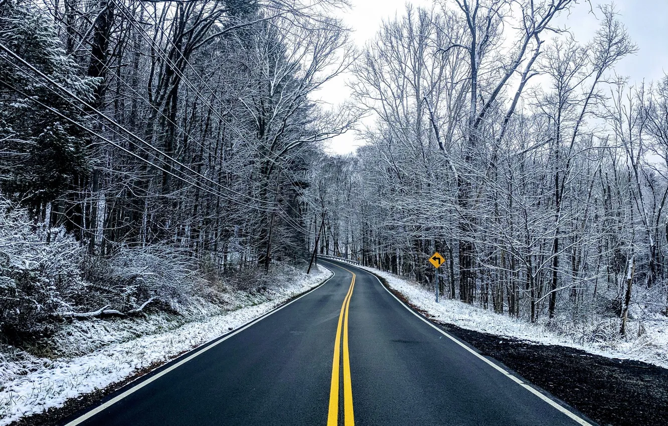 Photo wallpaper winter, road, forest, the sky, asphalt, snow, trees, landscape