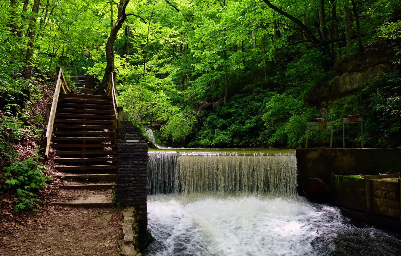 Photo wallpaper greens, forest, trees, waterfall, ladder, USA, Spring Mill State Park