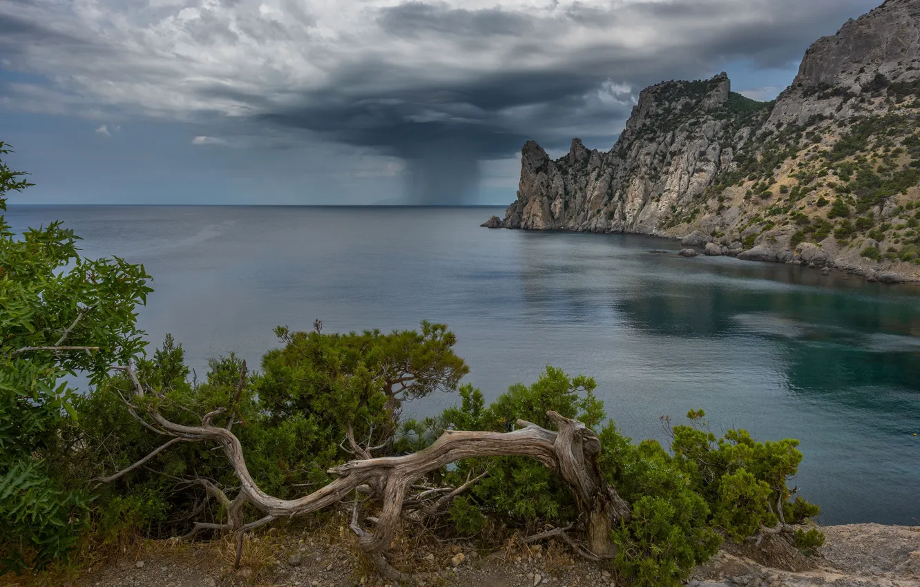 Photo wallpaper sea, landscape, clouds, nature, rain, tree, rocks, Bay