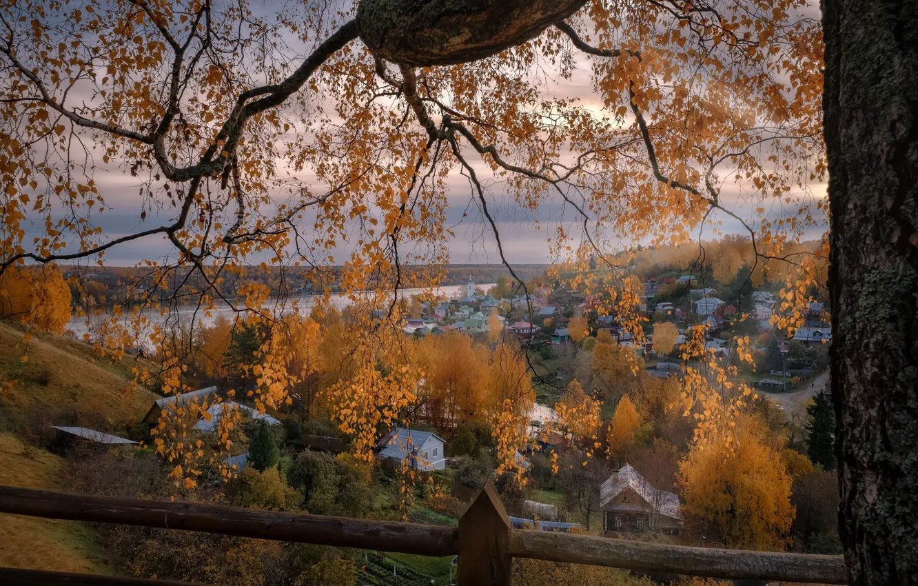 Photo wallpaper autumn, trees, landscape, branches, nature, the city, river, home