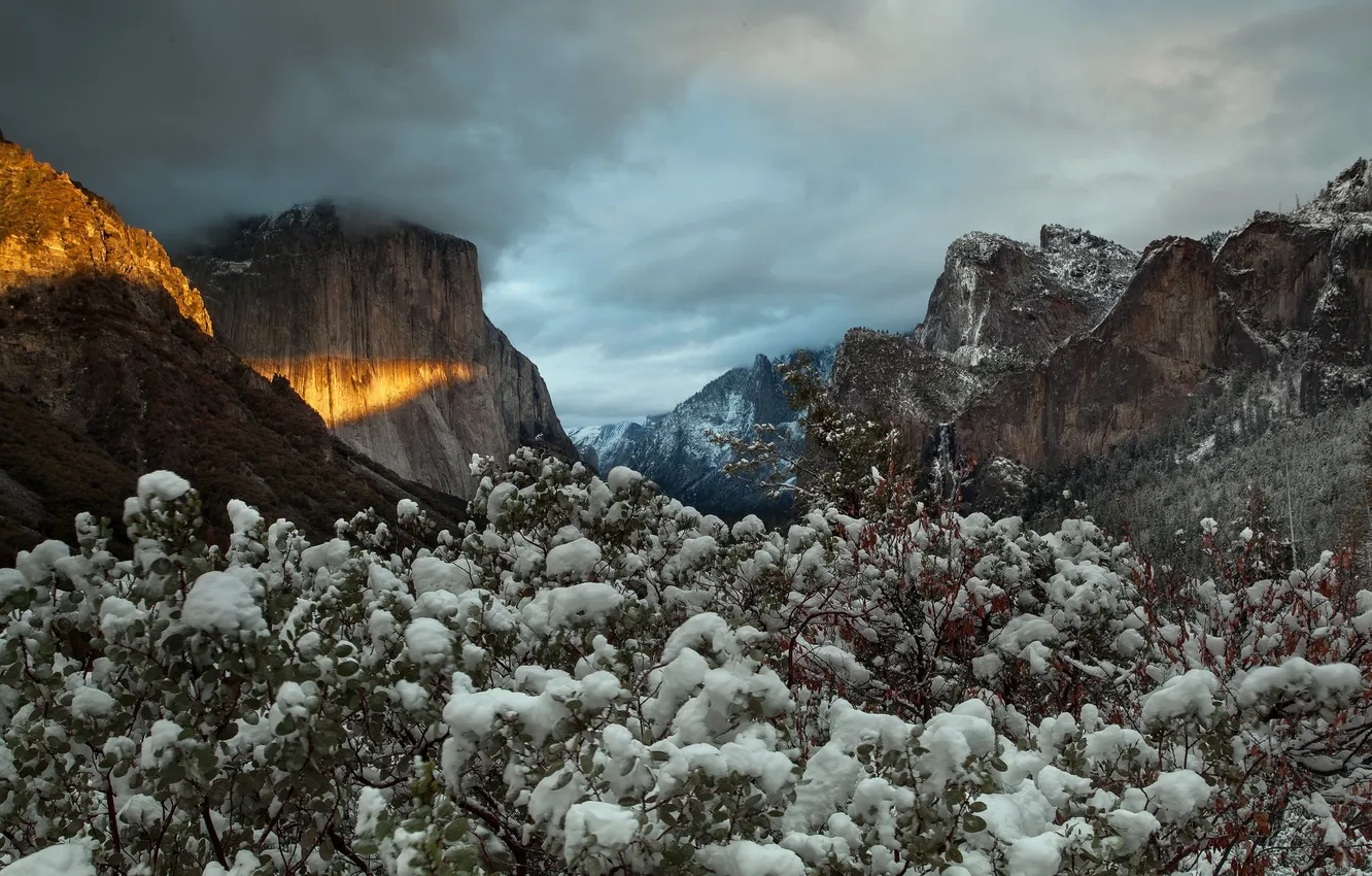 Photo wallpaper Yosemite National Park, The Captain, Unfolding, Cathedral Peaks
