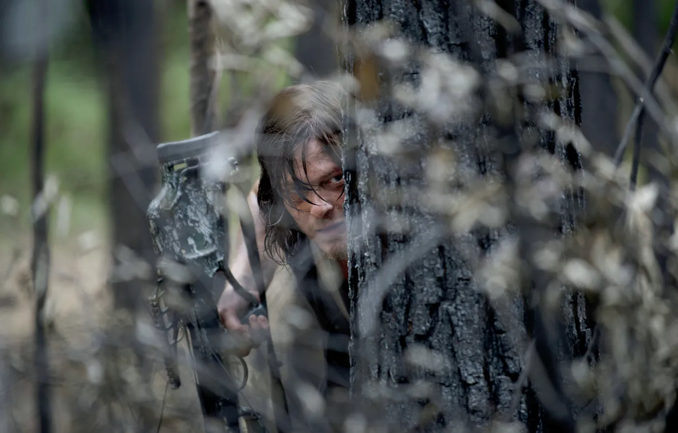 Photo wallpaper ambush, The Walking Dead, The walking dead, Norman Reedus, Daryl