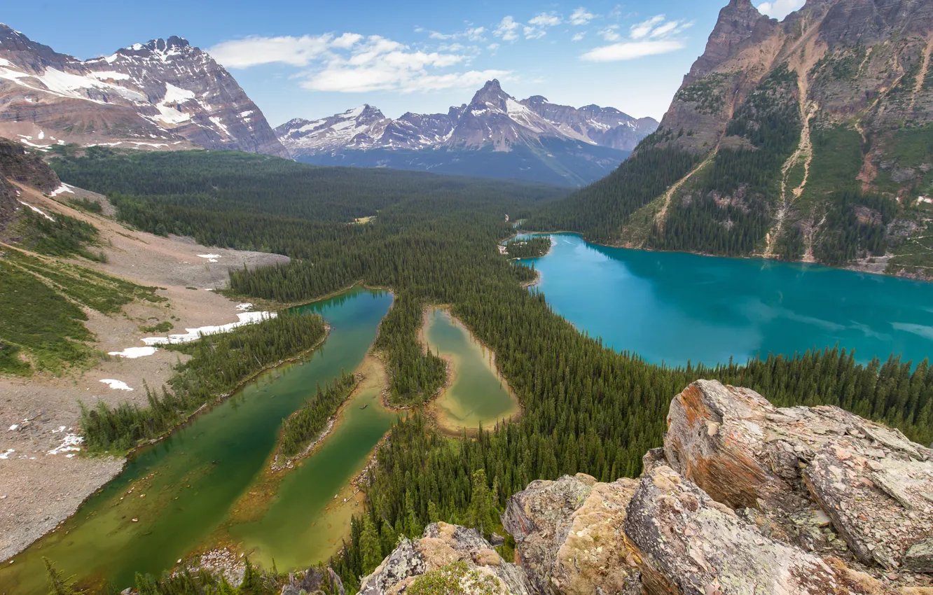 Photo wallpaper forest, trees, mountains, lake, stones, rocks, Canada, the view from the top