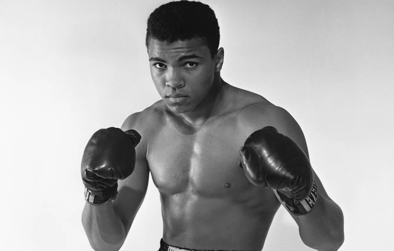 Photo wallpaper Muhammad Ali, boxing, legend boxer, Cassius Marcellus Clay Jr