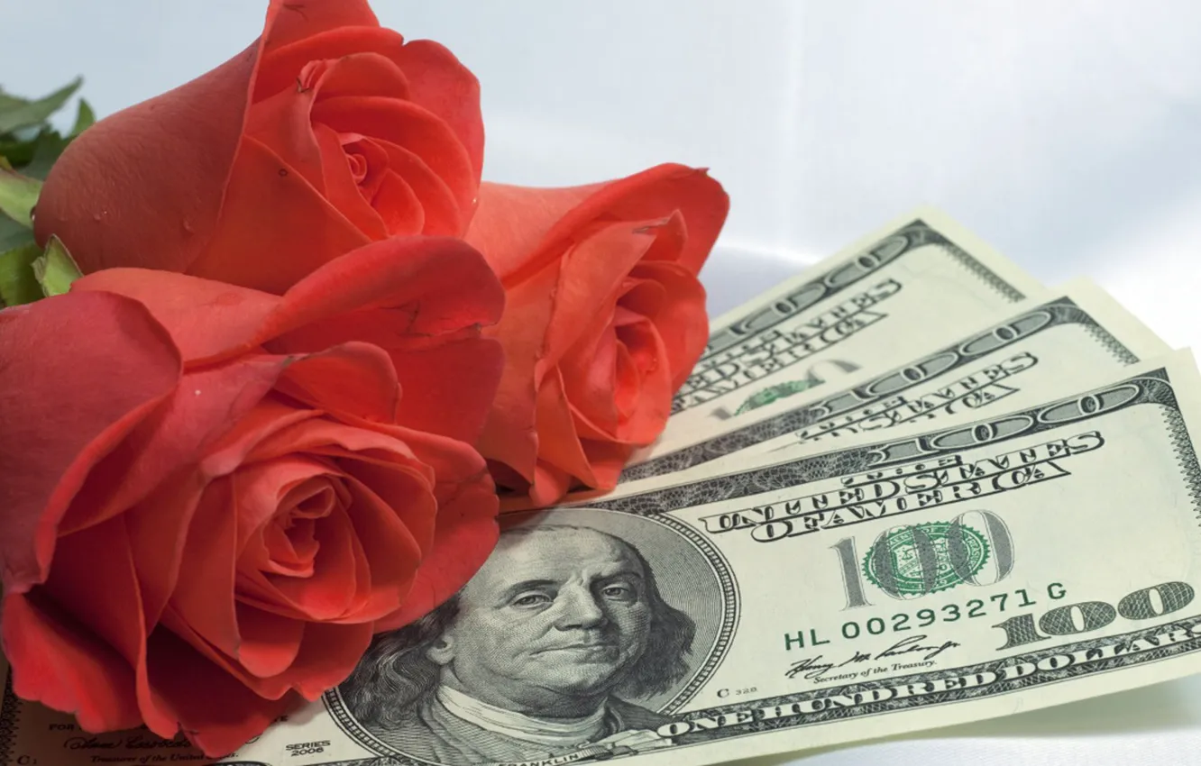 Photo wallpaper roses, money, dollars, currency