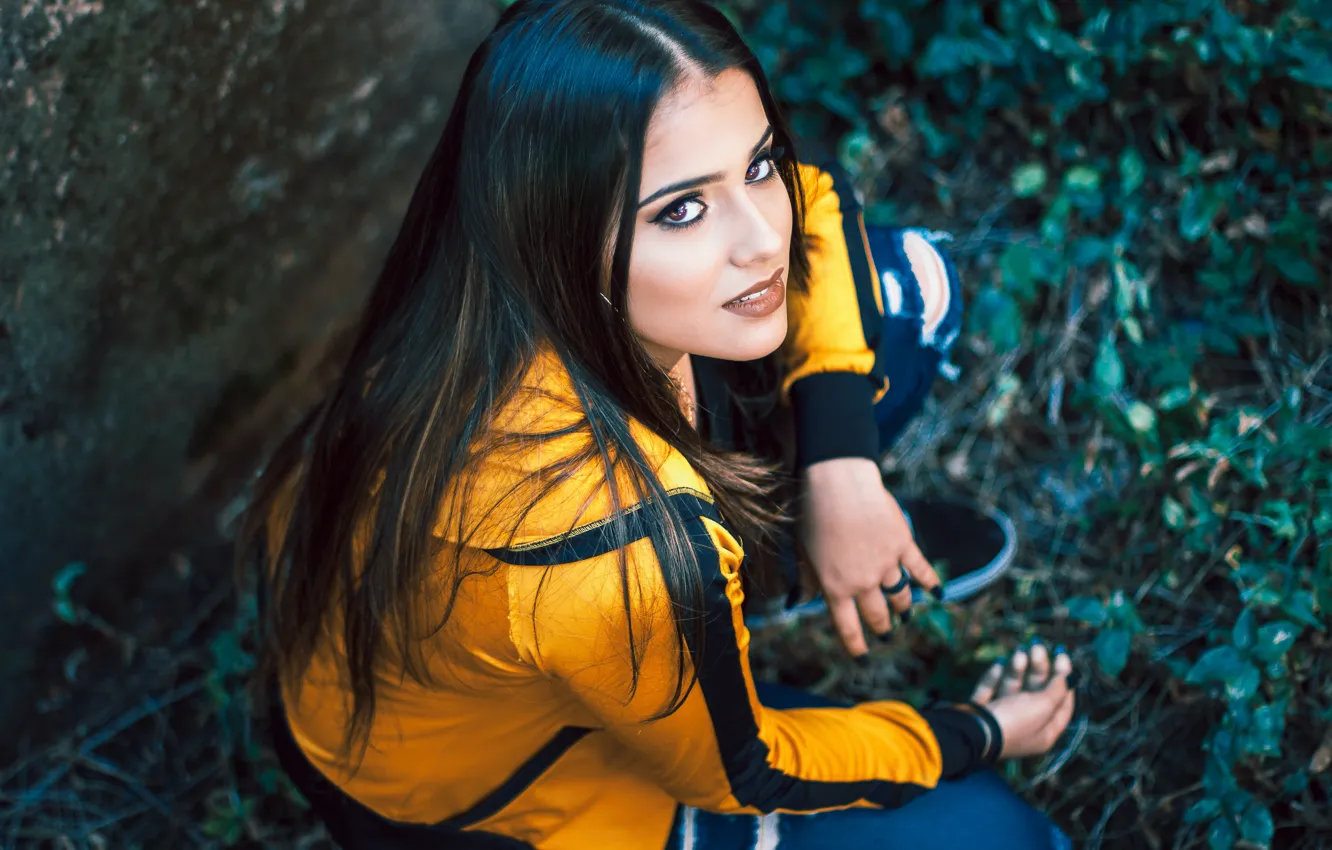 Photo wallpaper look, green grass, brown eyes, brown eyes, green grass, Yellow Jacket, gaze, yellow jacket