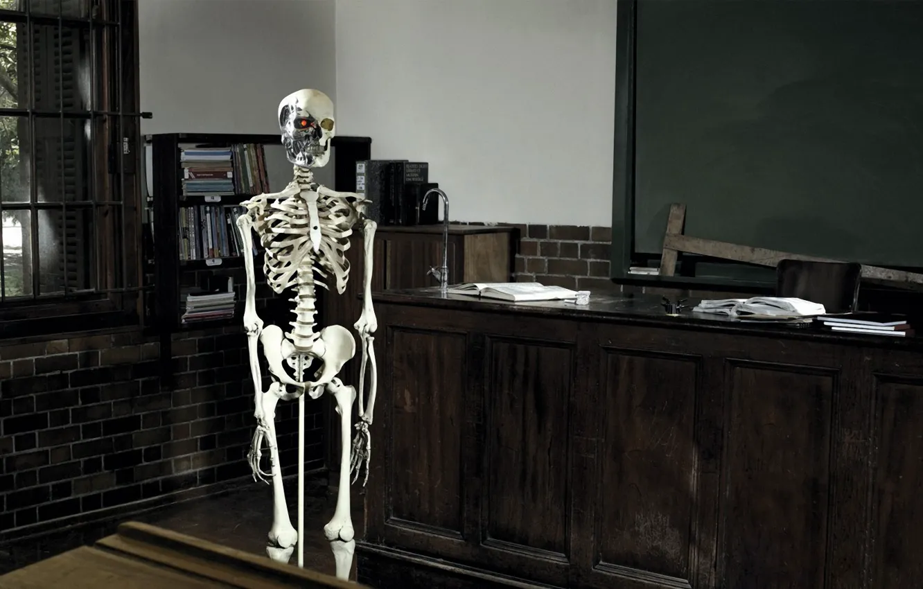 Photo wallpaper terminator, skeleton, class