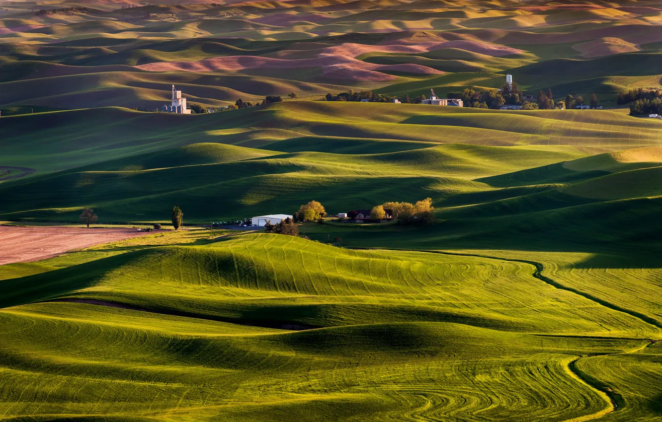 Photo wallpaper hills, field, USA, farm, Steptoe Butte State Park