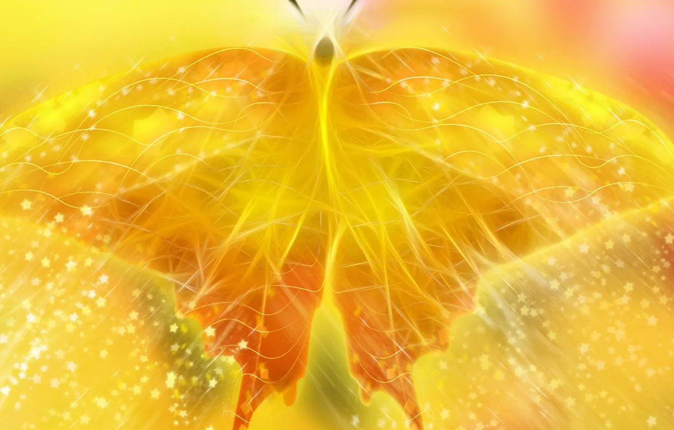 Photo wallpaper yellow, butterfly