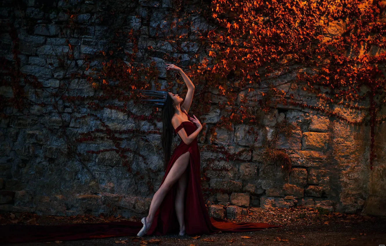 Photo wallpaper girl, background, crown