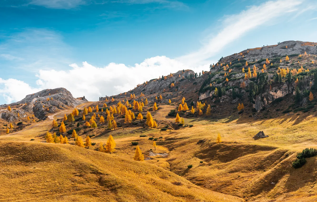 Photo wallpaper forest, rocks, mountainous, various colors