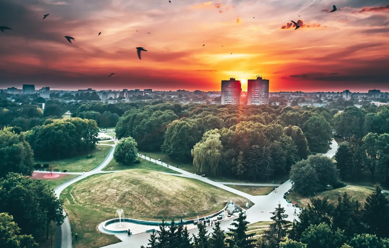 Photo wallpaper Lithuania, Kaunas, birds