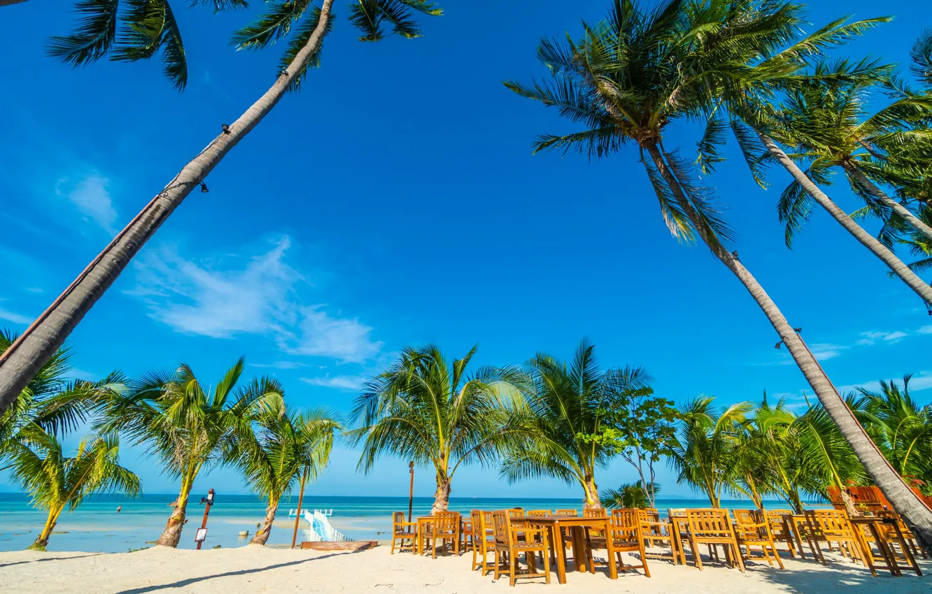 Photo wallpaper sand, sea, beach, summer, the sky, the sun, palm trees, shore