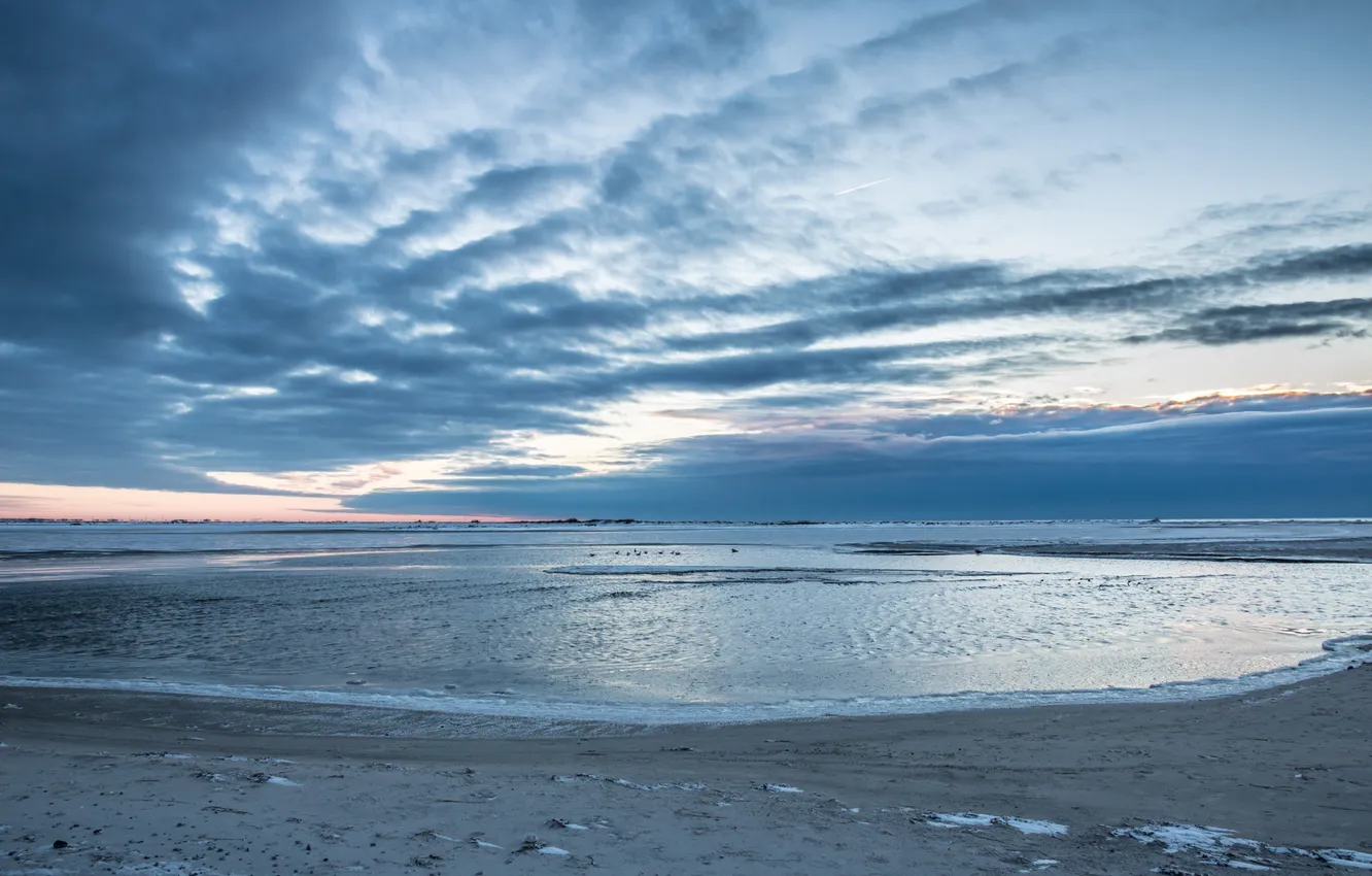 Photo wallpaper sea, winter, snow, naturereserve, vinter