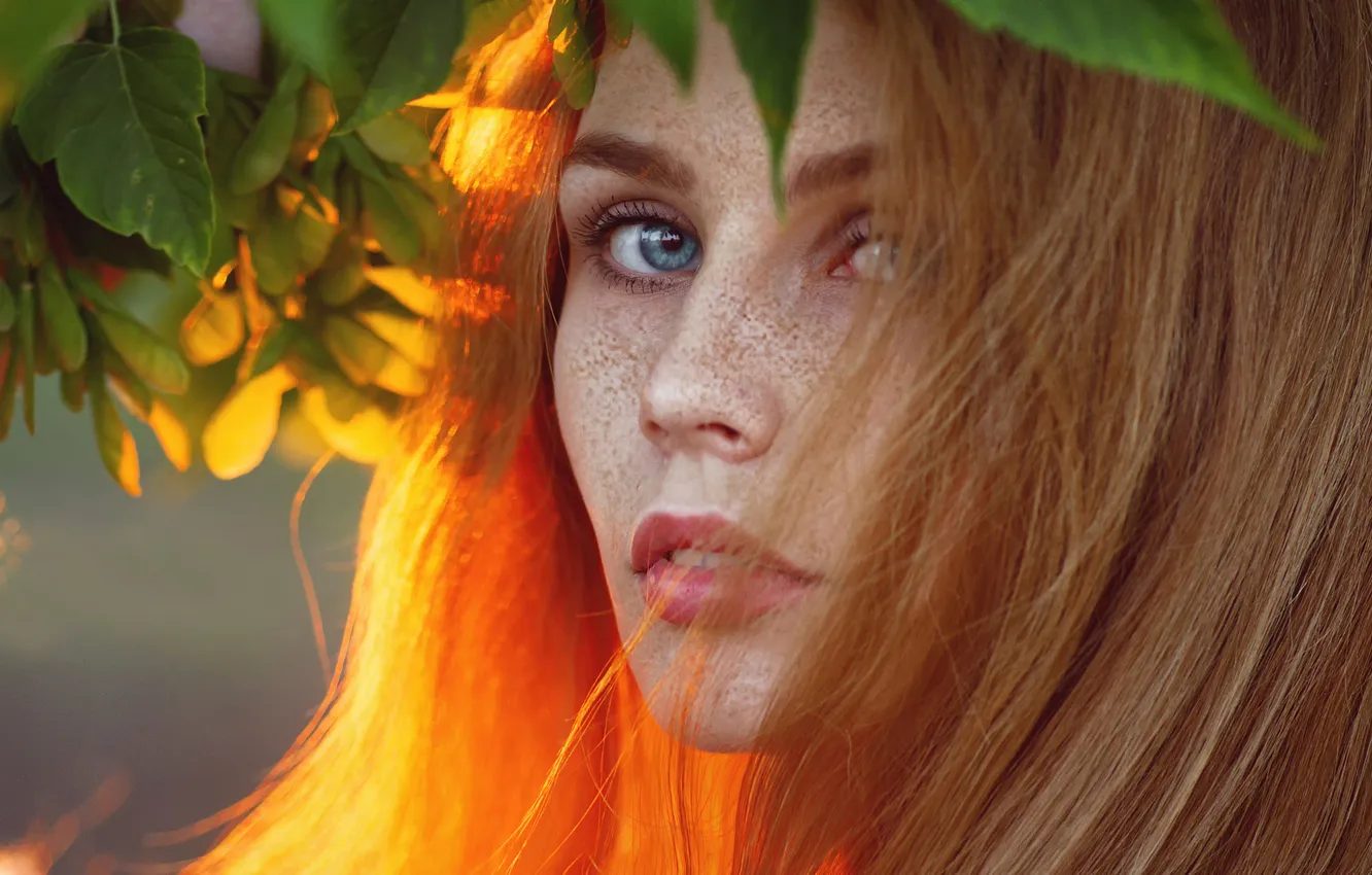 Photo wallpaper autumn, freckles, redhead, gold, Darya Chacheva, Autumn is coming