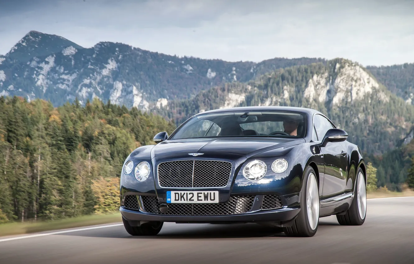 Photo wallpaper machine, auto, trees, lights, Bentley, Continental, day, The hood