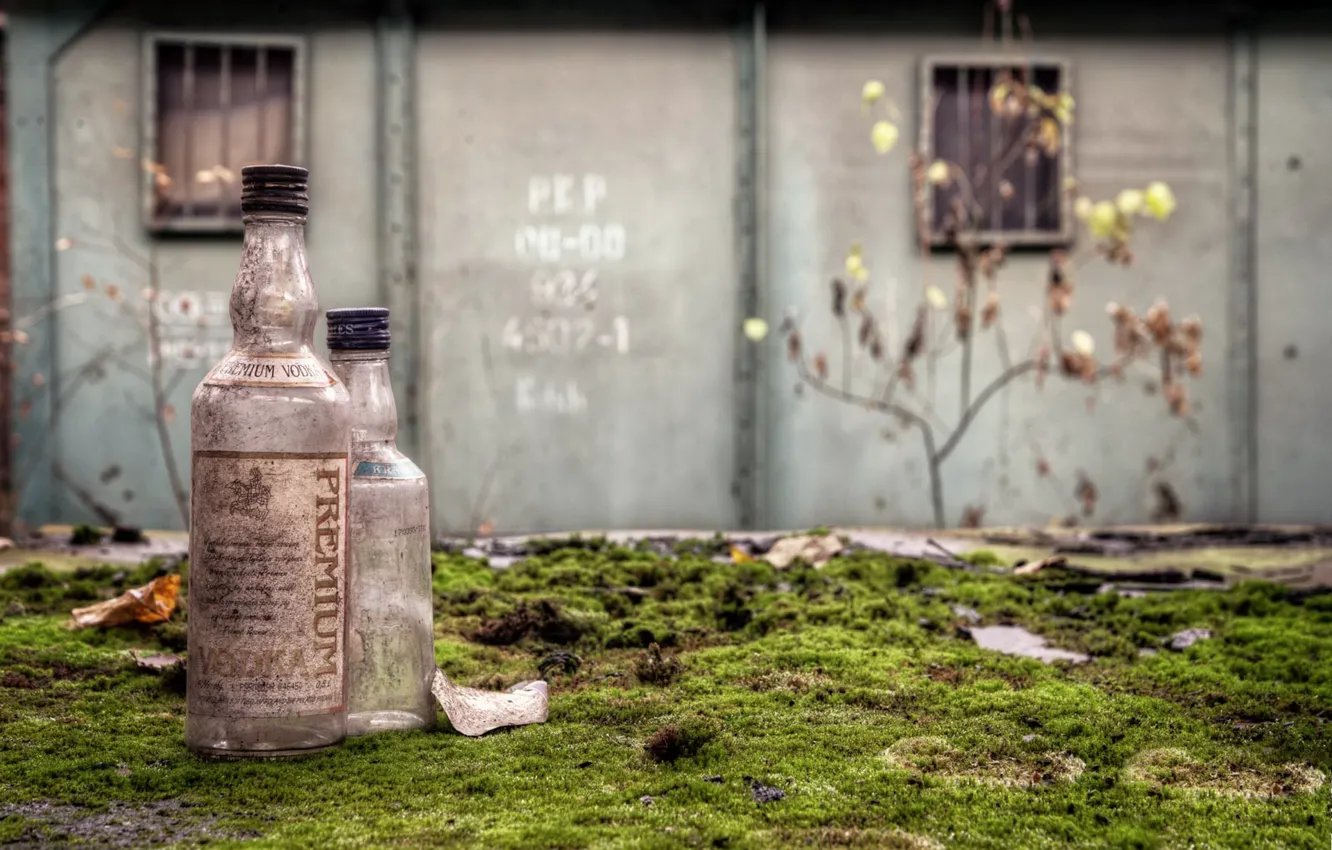 Photo wallpaper background, moss, bottle