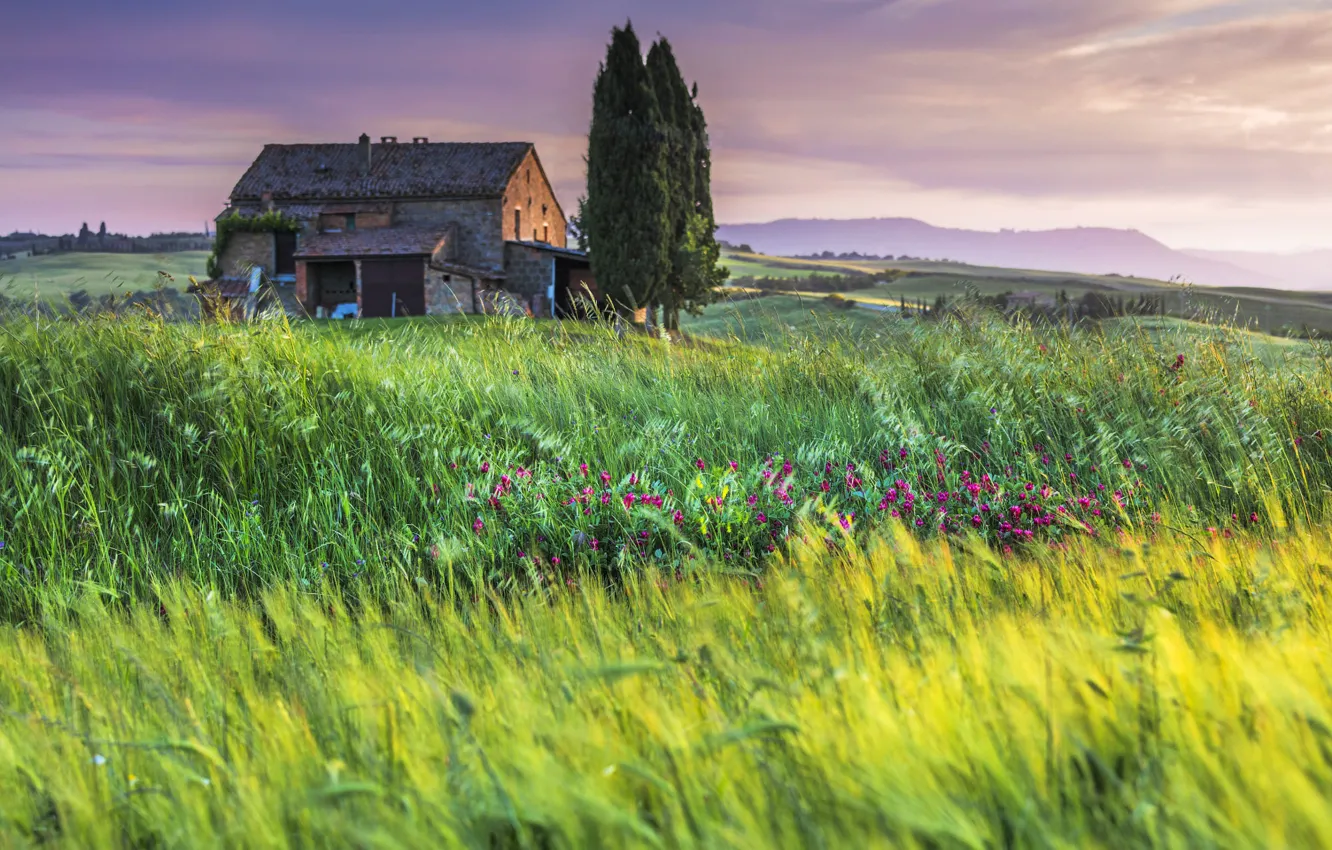Photo wallpaper field, grass, Italy, house, Tuscany