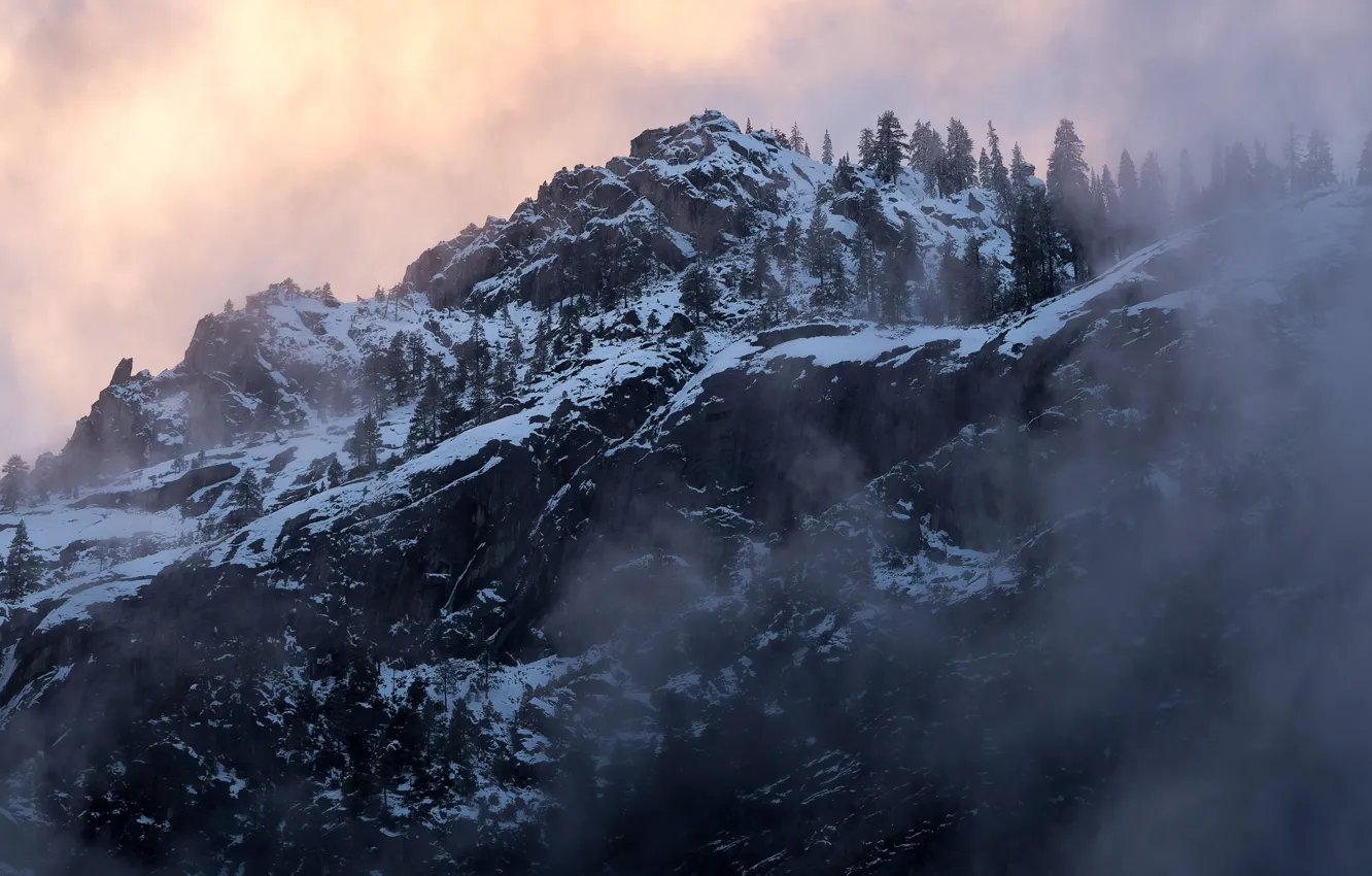 Photo wallpaper winter, the sky, snow, trees, sunset, mountains, nature, fog