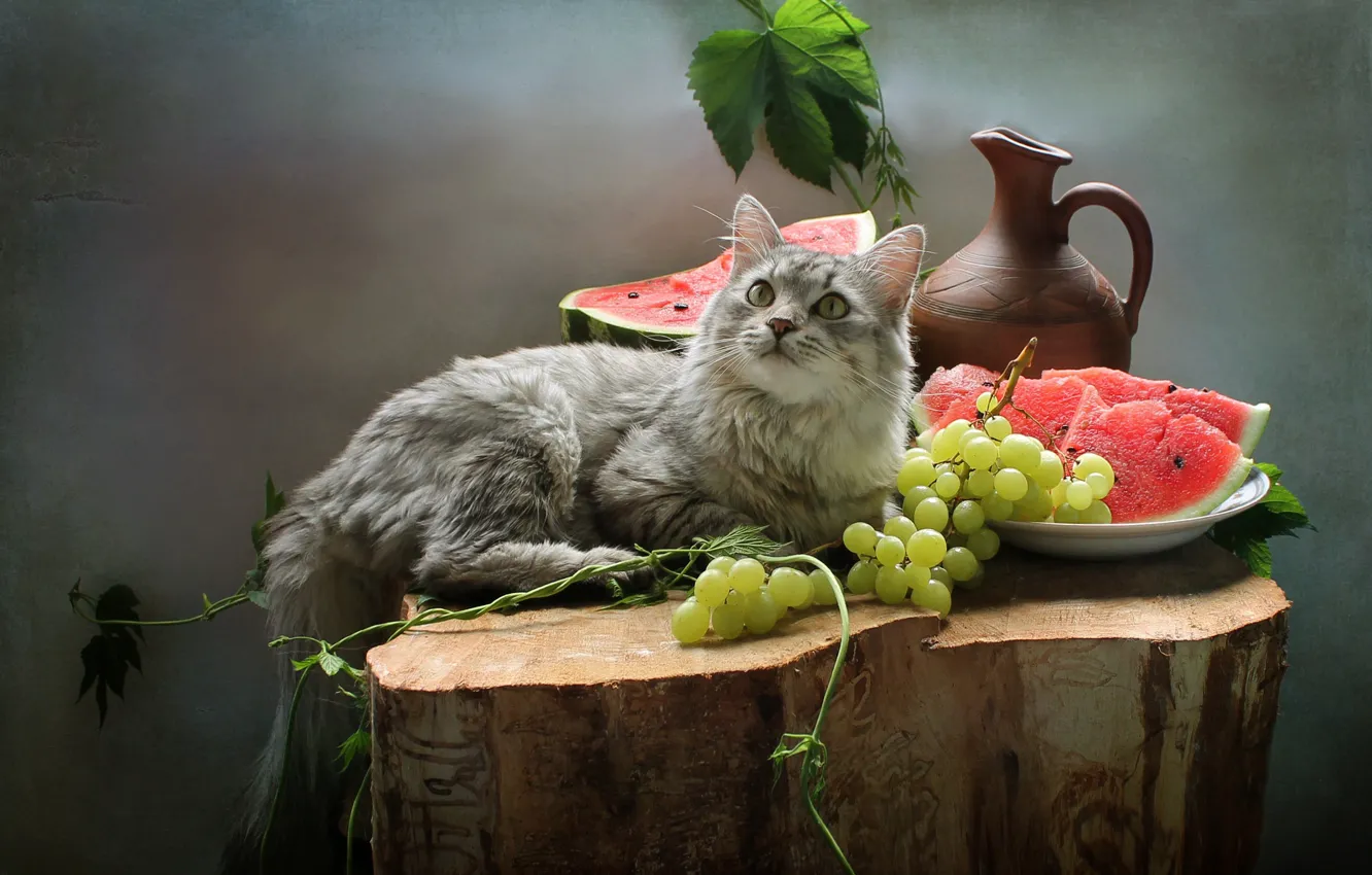 Photo wallpaper cat, cat, berries, animal, stump, watermelon, grapes, pitcher