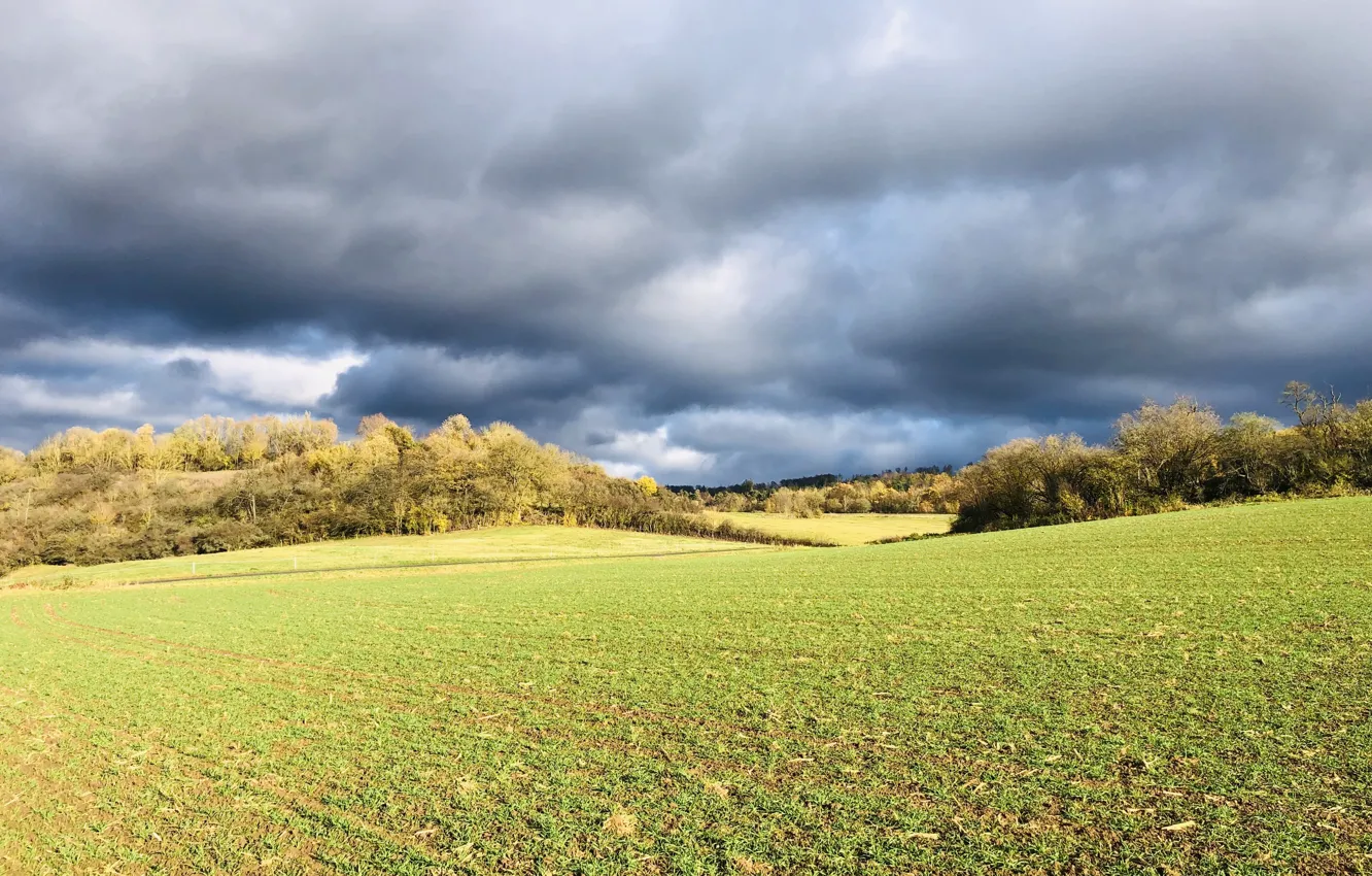 Photo wallpaper field, autumn, the sky, clouds, trees, landscape, clouds