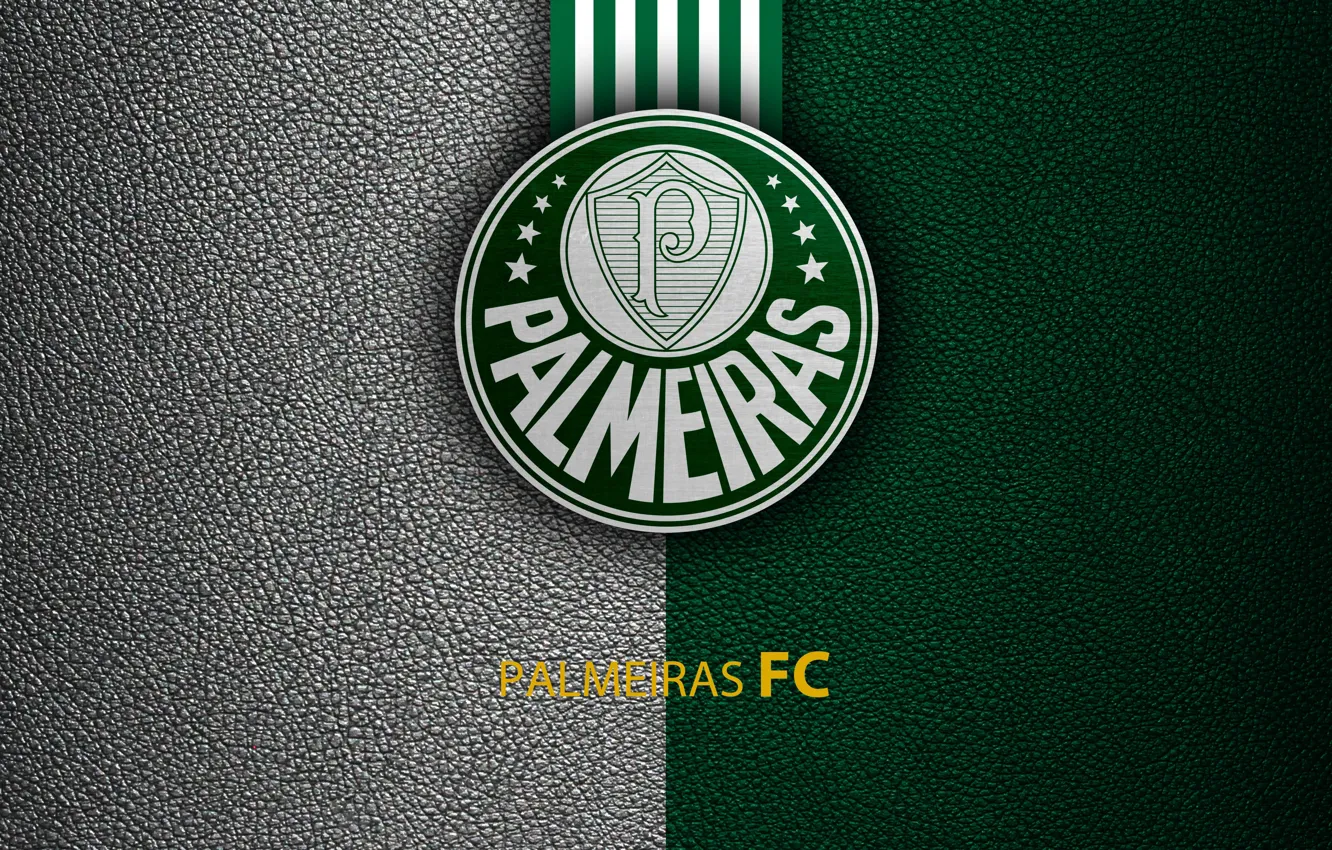 Photo wallpaper wallpaper, sport, logo, football, Brazilian Serie A, Palm trees