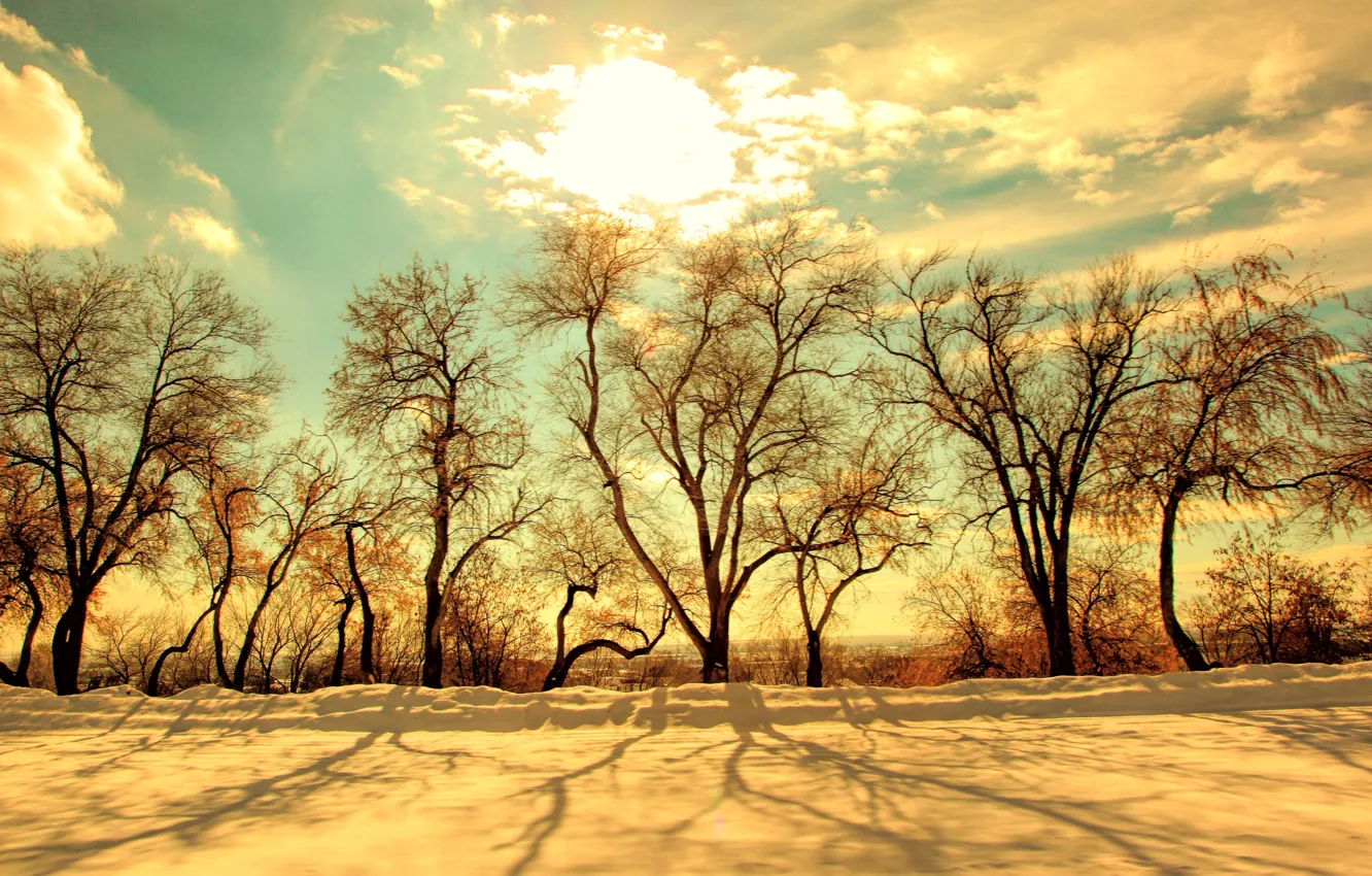 Photo wallpaper winter, the sky, the sun, light, snow, trees