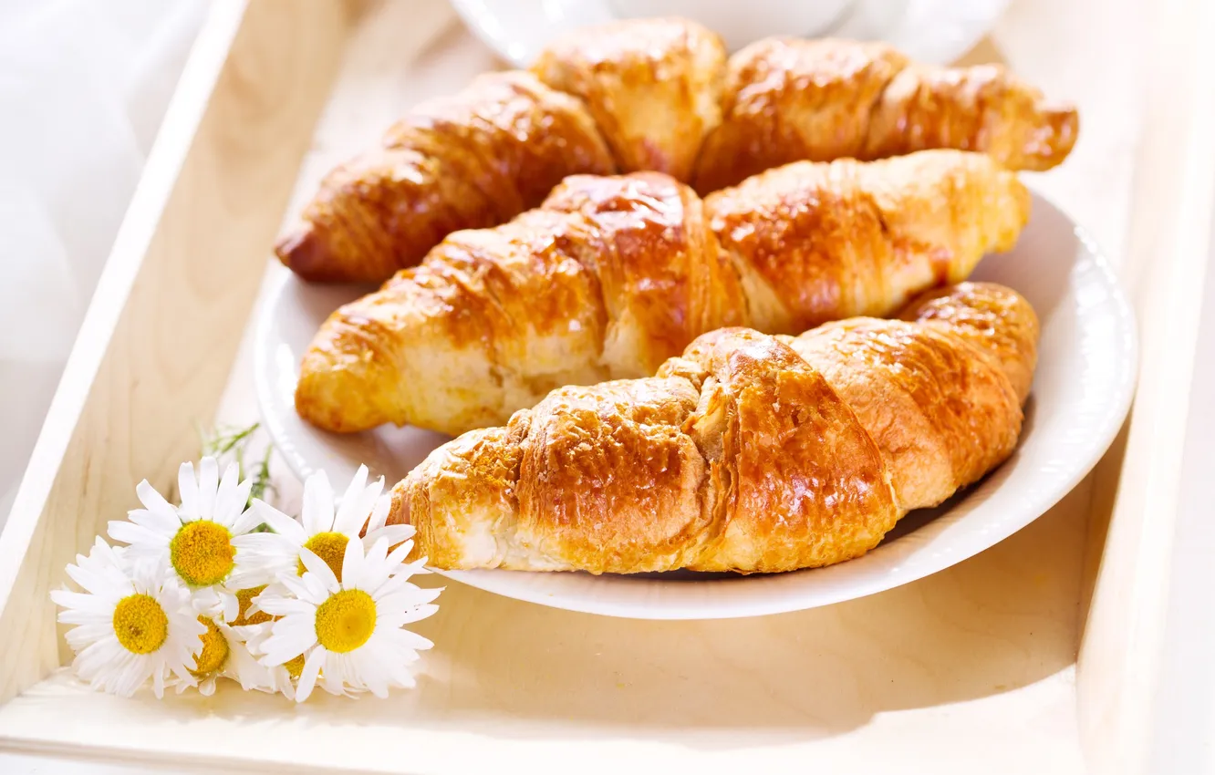 Photo wallpaper flowers, chamomile, croissant
