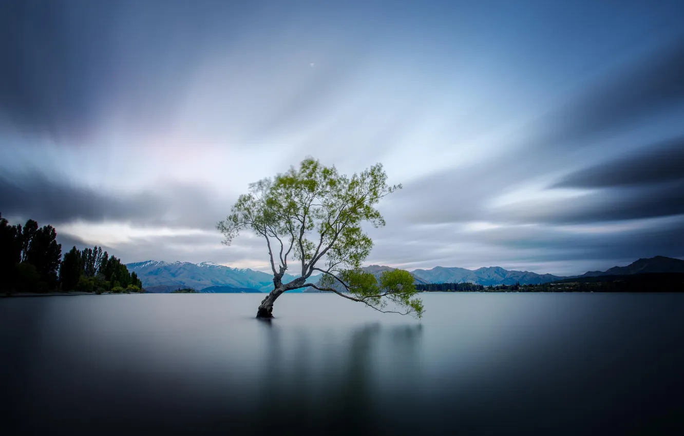Photo wallpaper nature, lake, tree, New Zealand